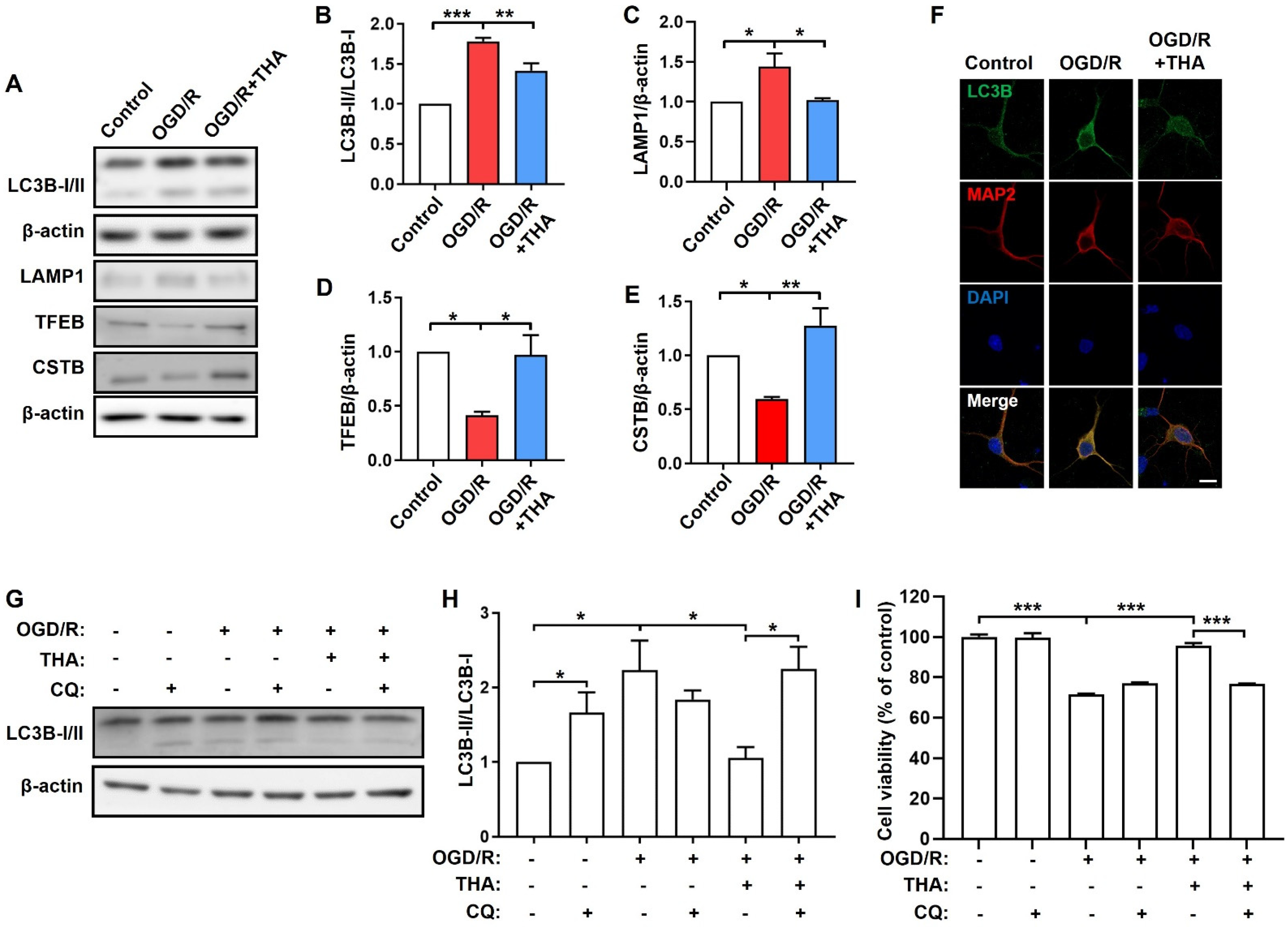 Molecules 28 02370 g003