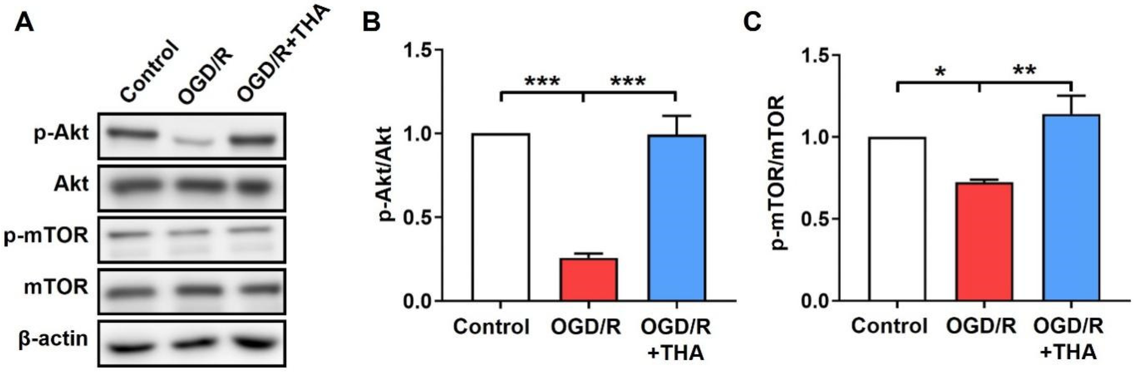 Molecules 28 02370 g004