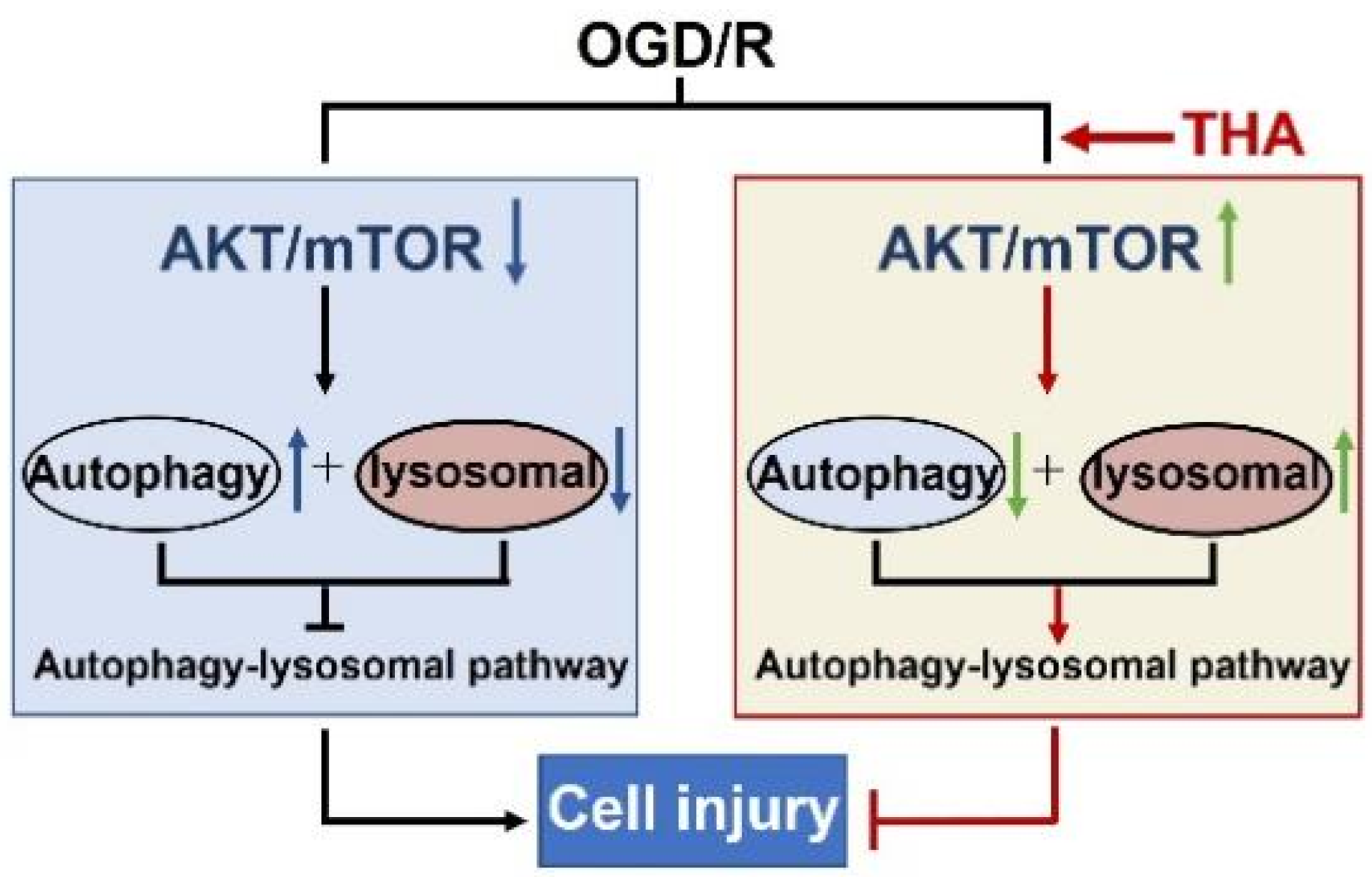 Molecules 28 02370 g005
