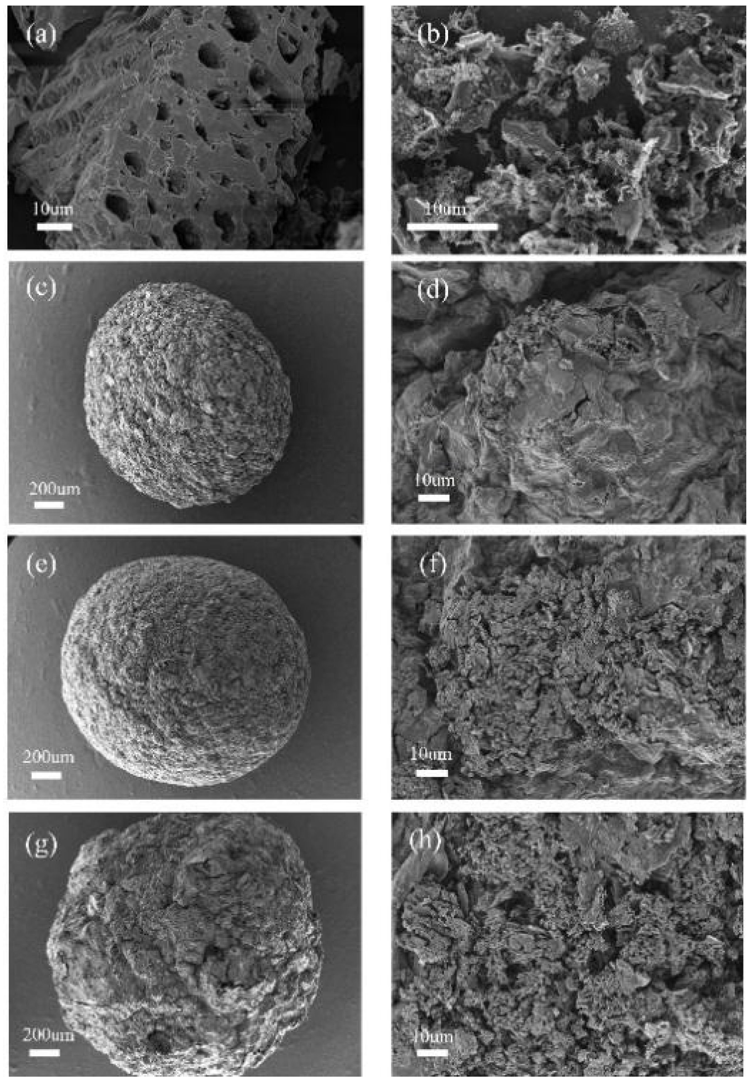 Molecules 28 02507 g001
