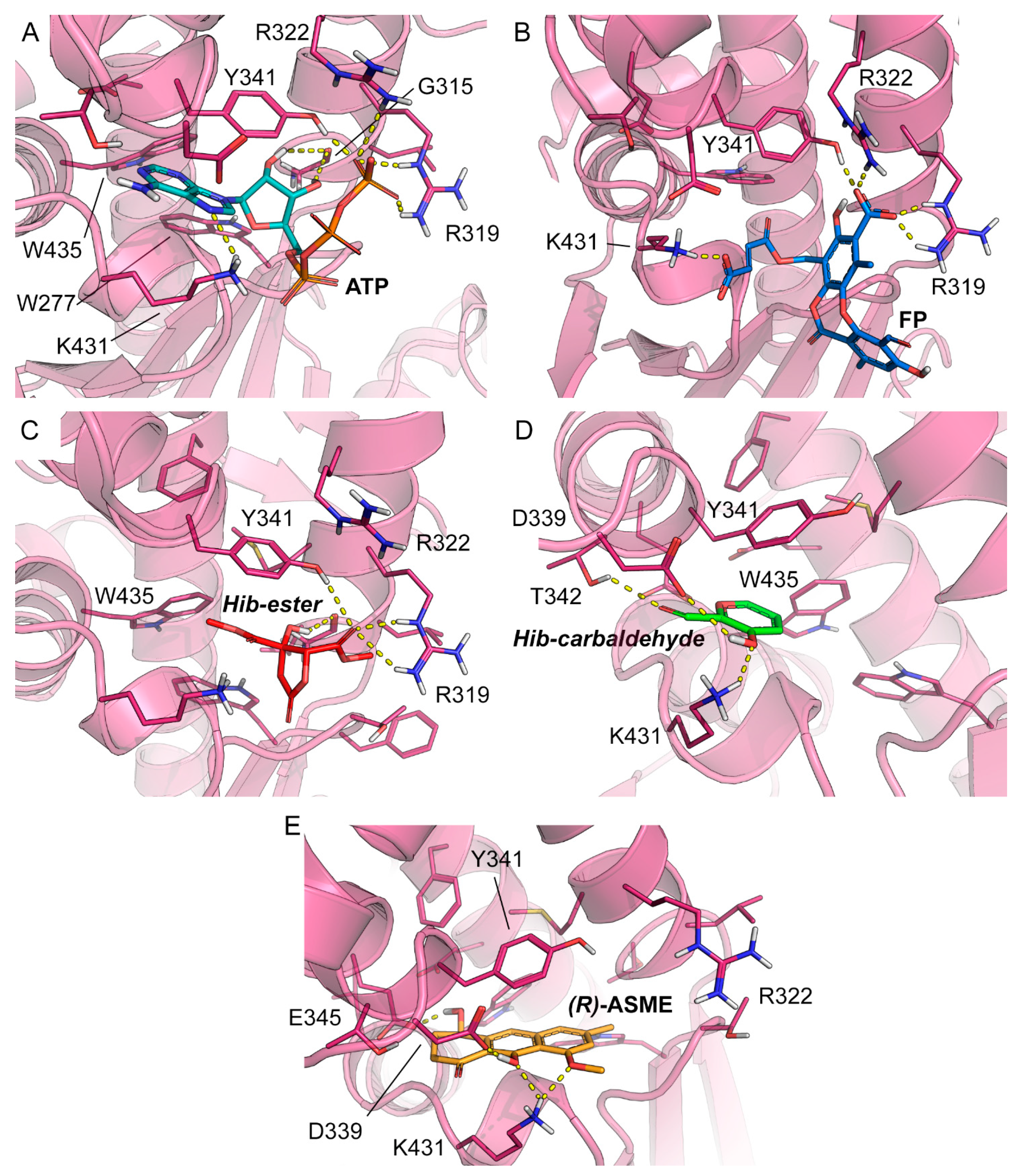 Molecules 28 02542 g007 Molecules 28 02542 g007