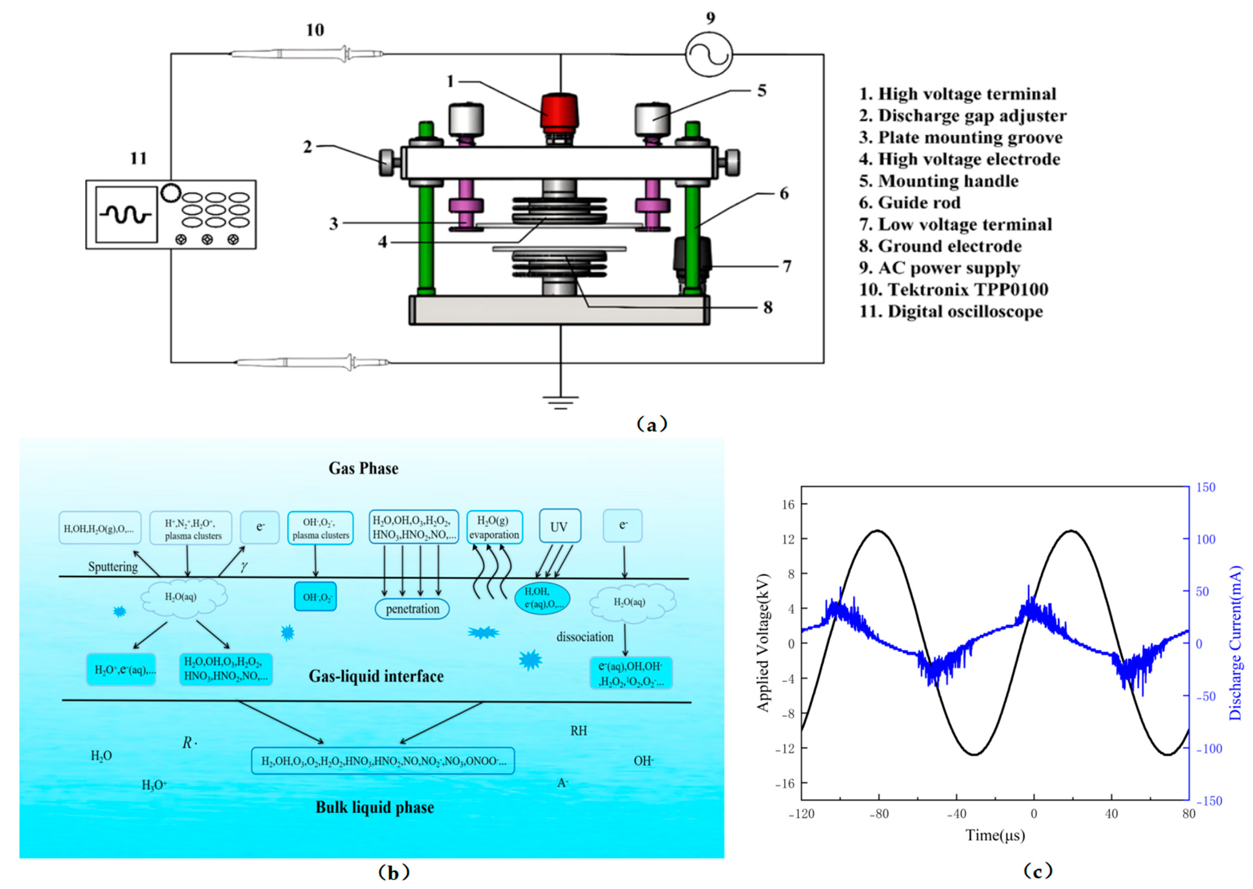 Molecules 28 02677 g006
