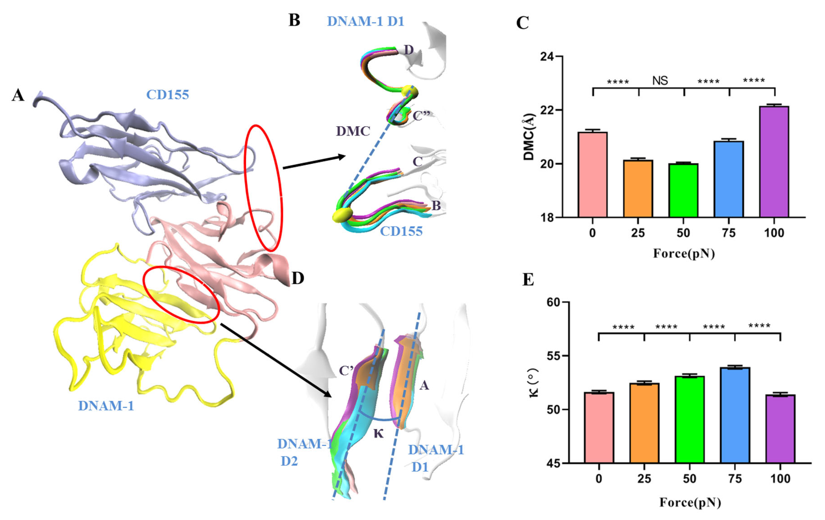 Molecules 28 02847 g006