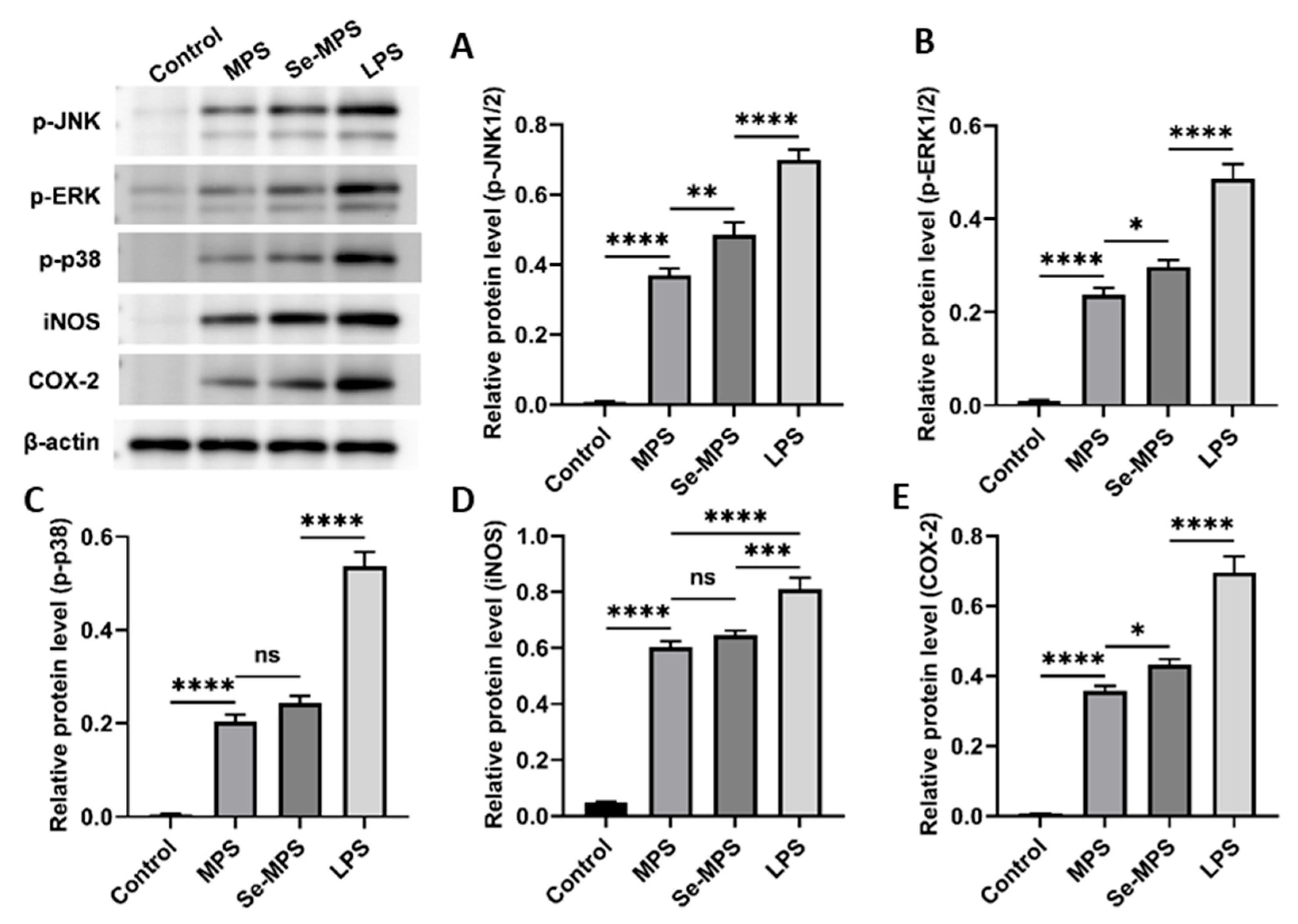 Molecules 28 02885 g008
