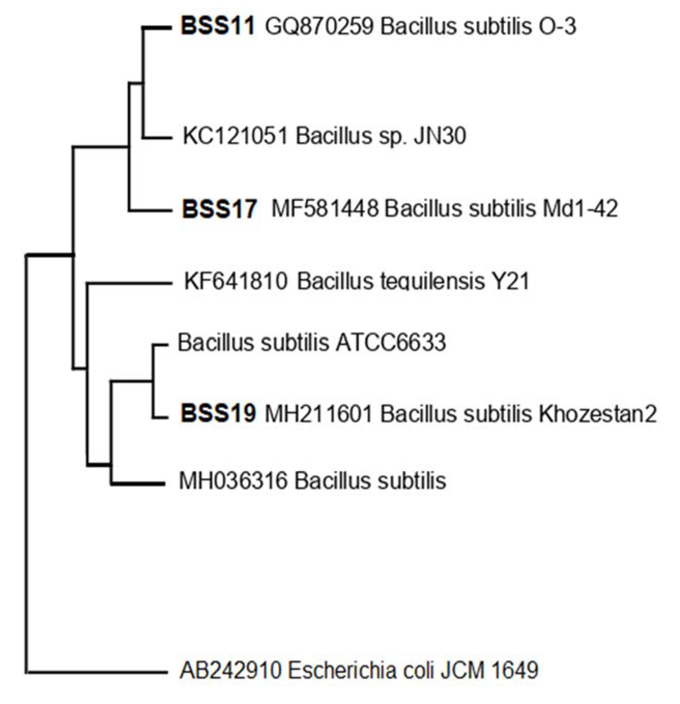 Molecules 28 03210 g003 Molecules 28 03210 g003