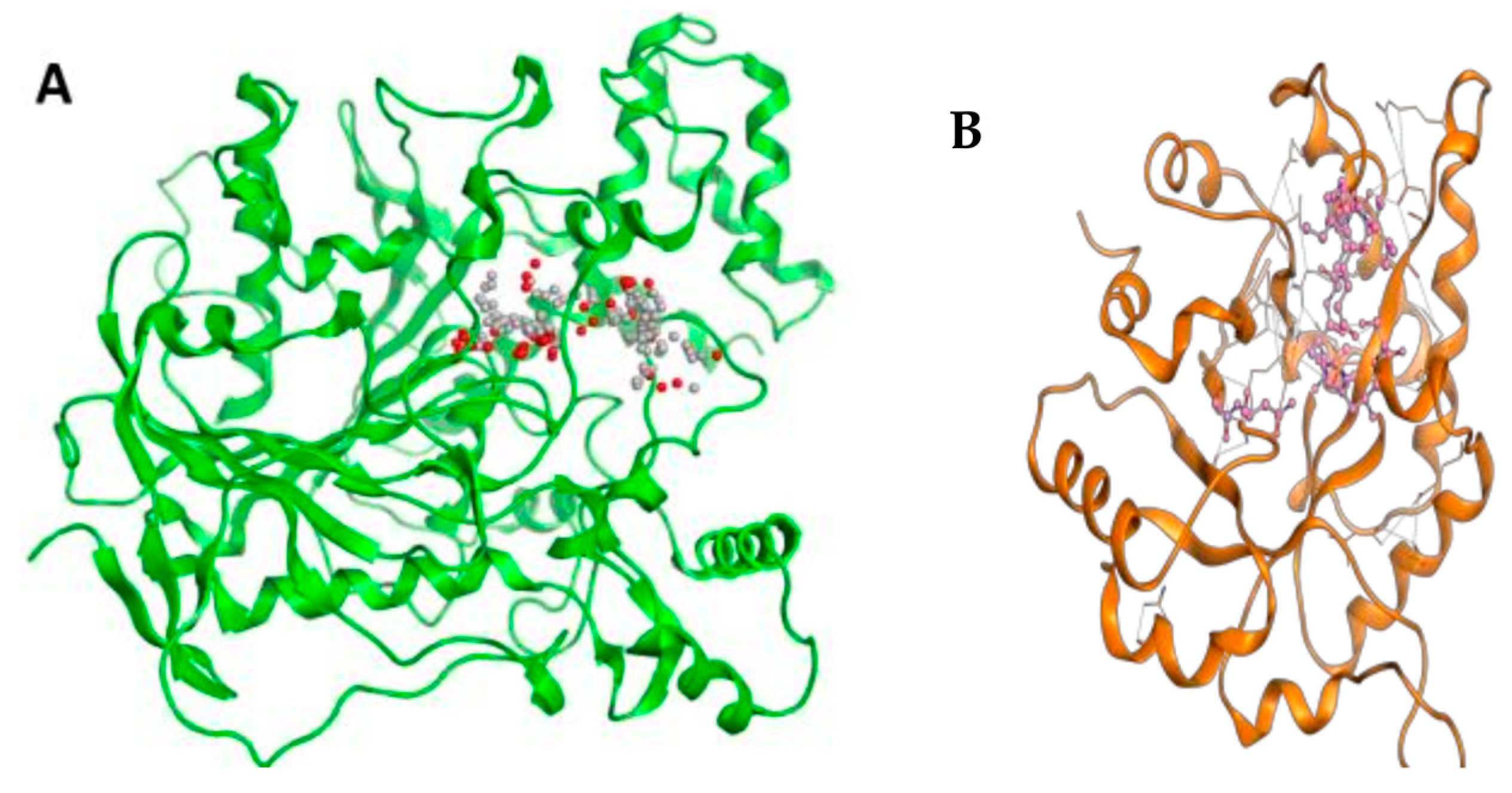 Molecules 28 03606 g004 Molecules 28 03606 g004