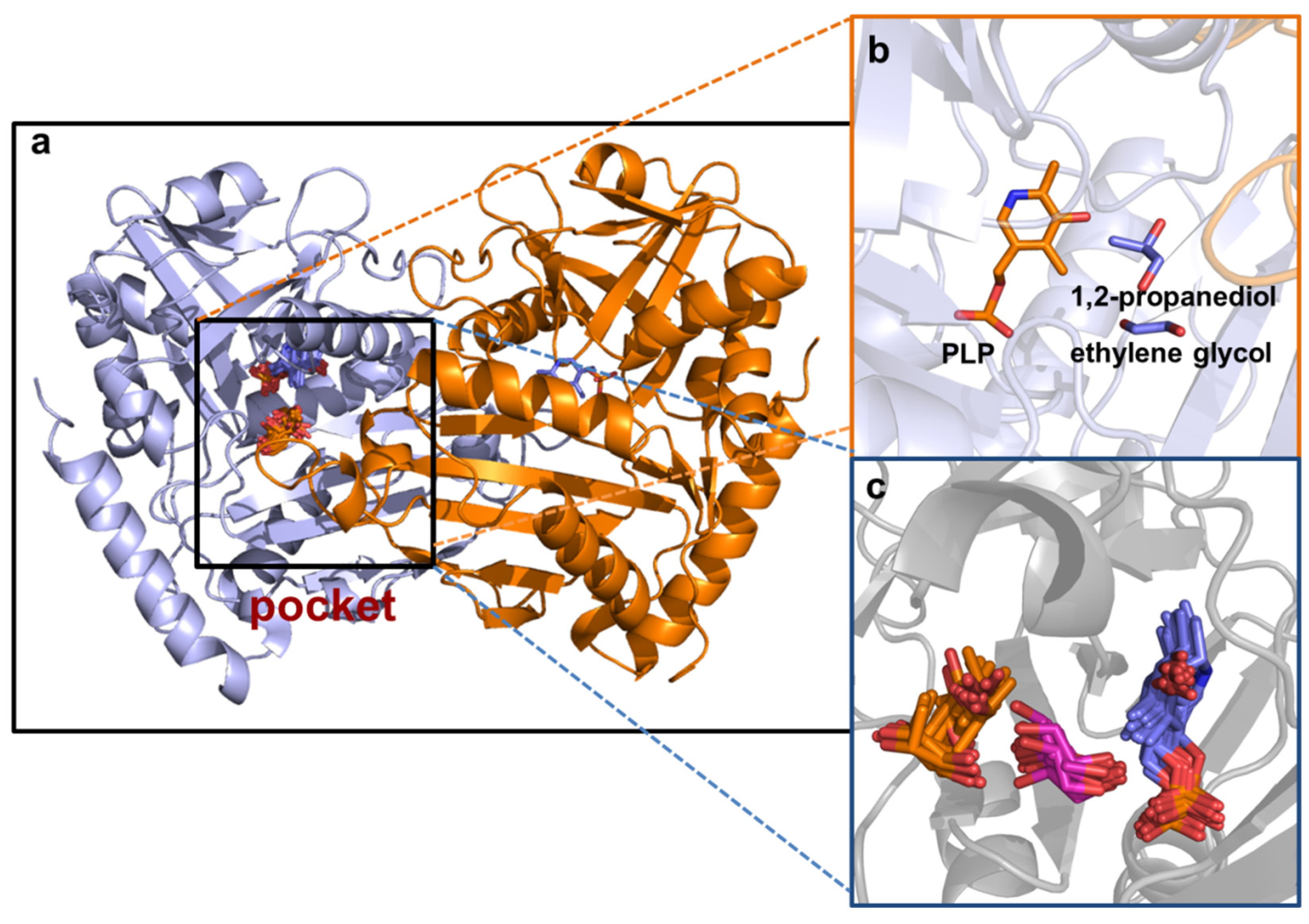 Molecules 28 03895 g007 Molecules 28 03895 g007