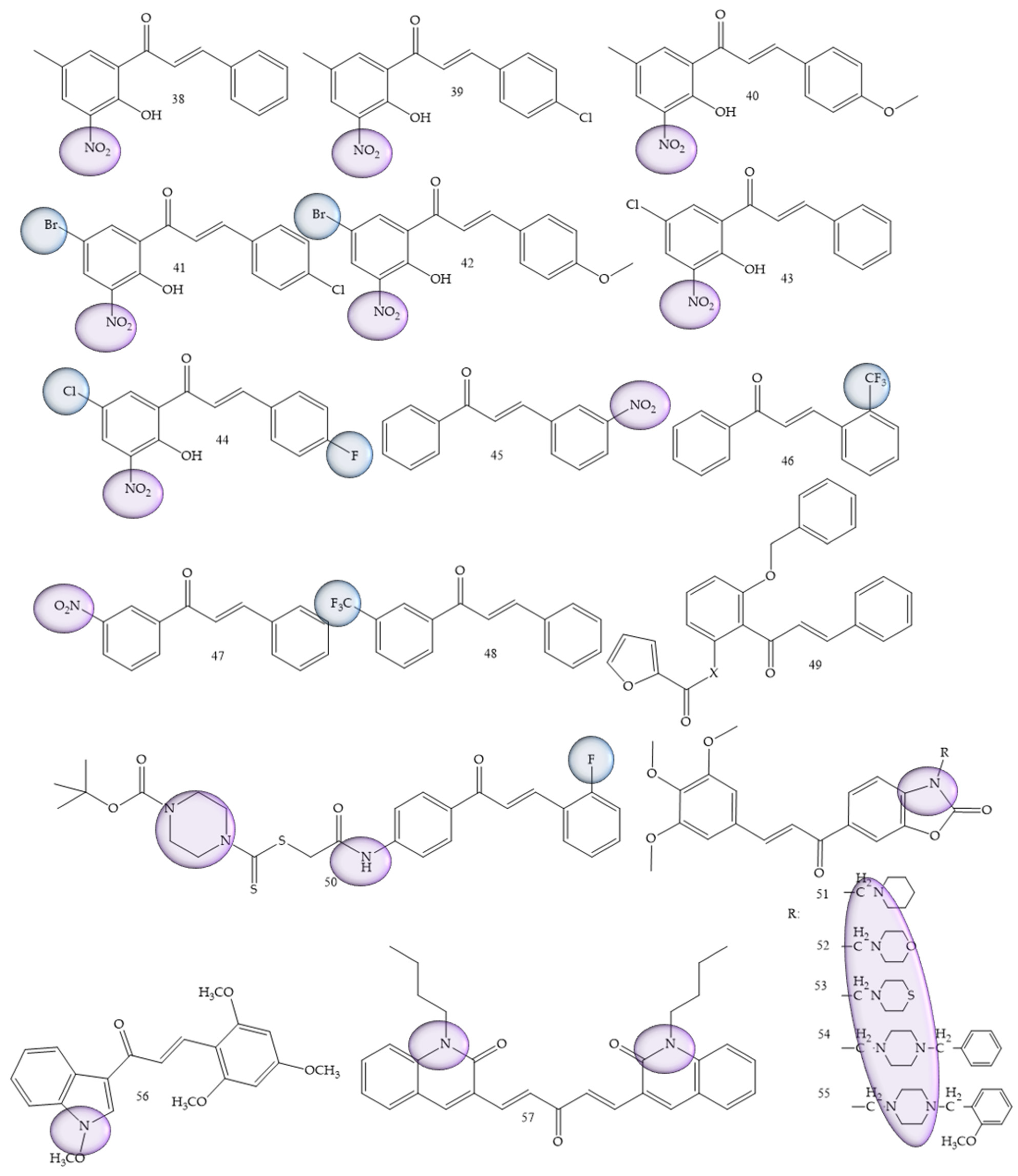 Molecules 28 04009 g009