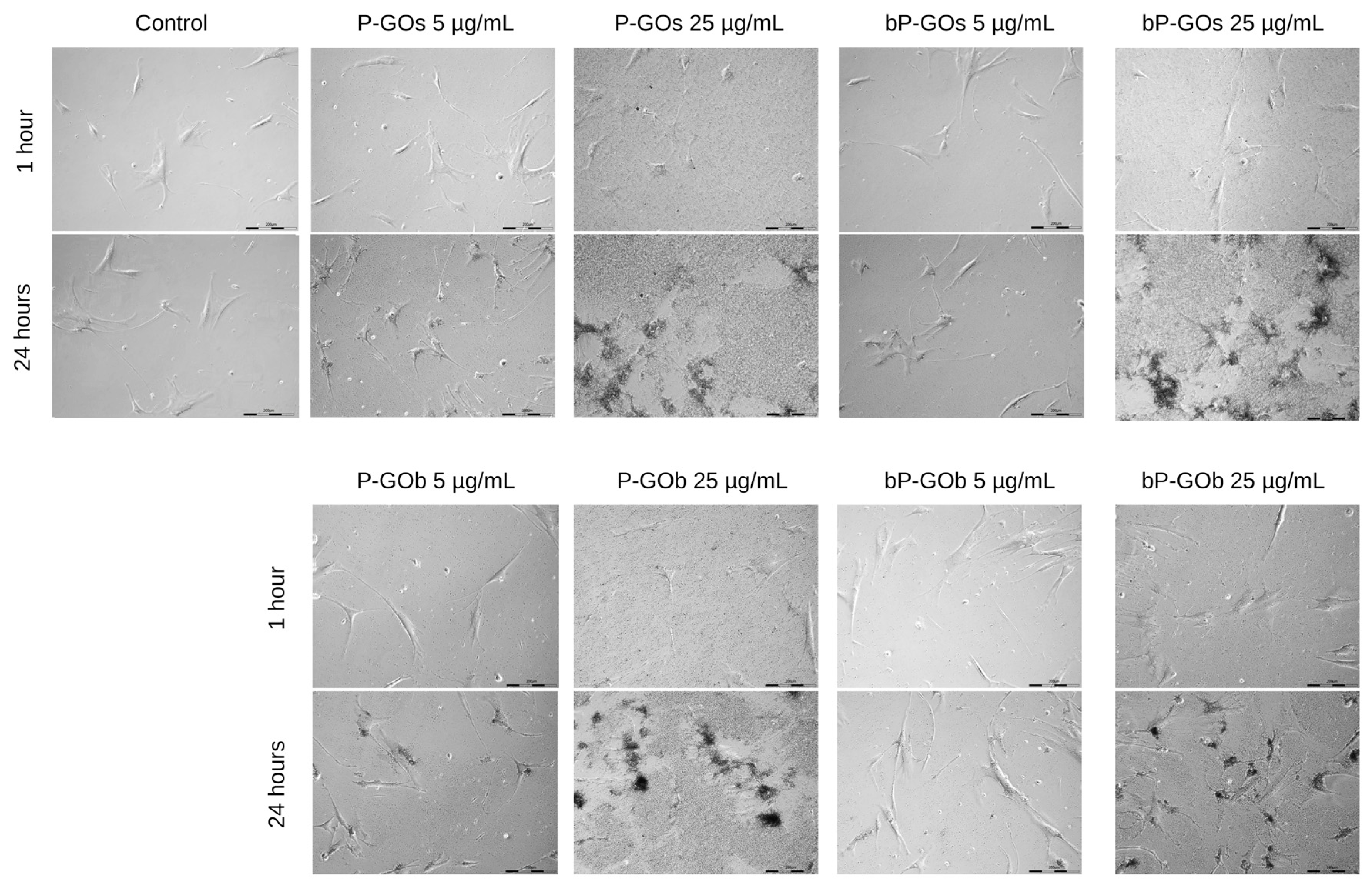 Molecules 28 04148 g003