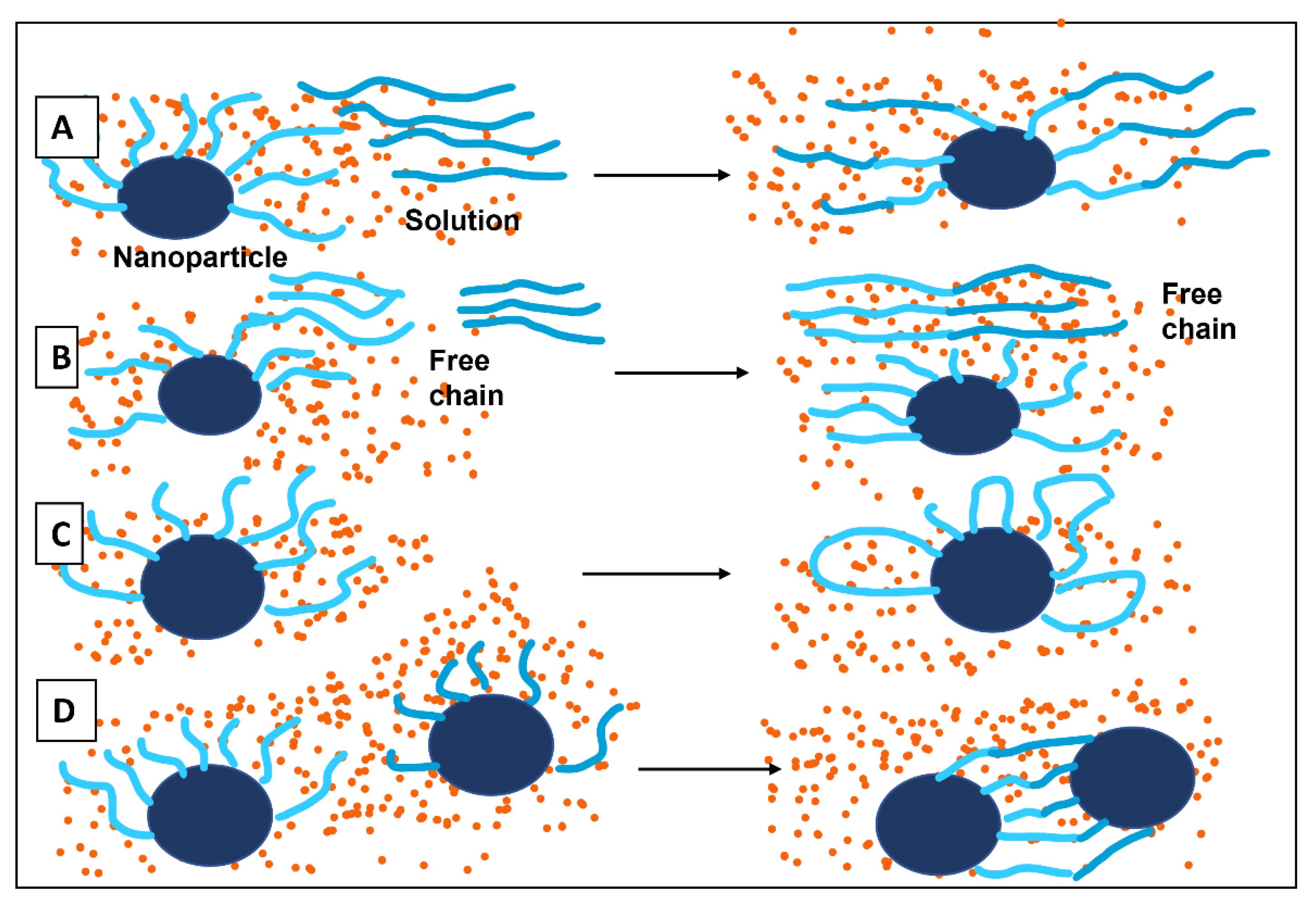 Molecules 28 04444 g008 Molecules 28 04444 g008