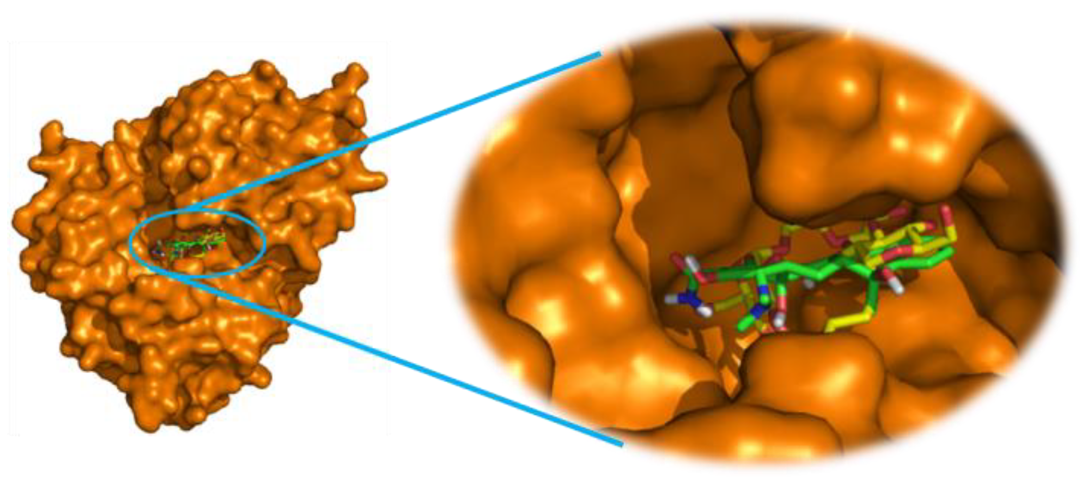 Molecules 28 04655 g002