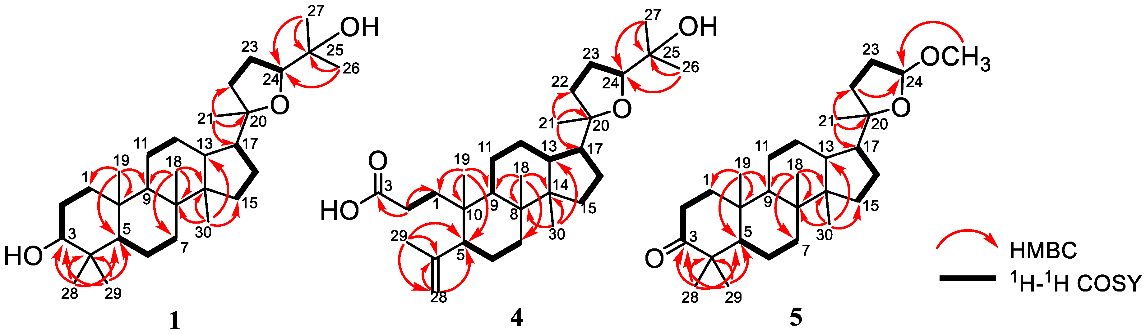 Molecules 28 04946 g002