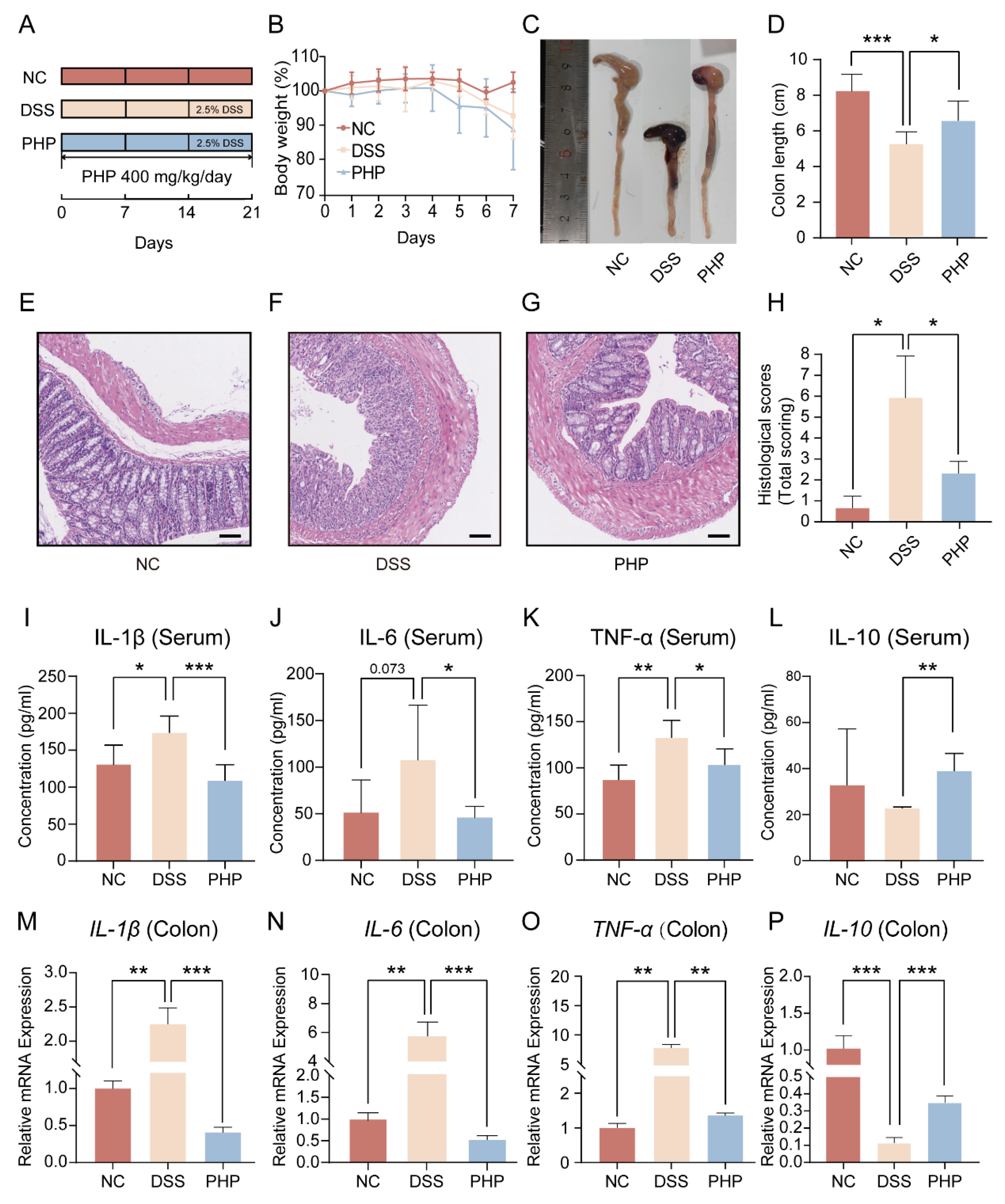 Molecules 28 04984 g002