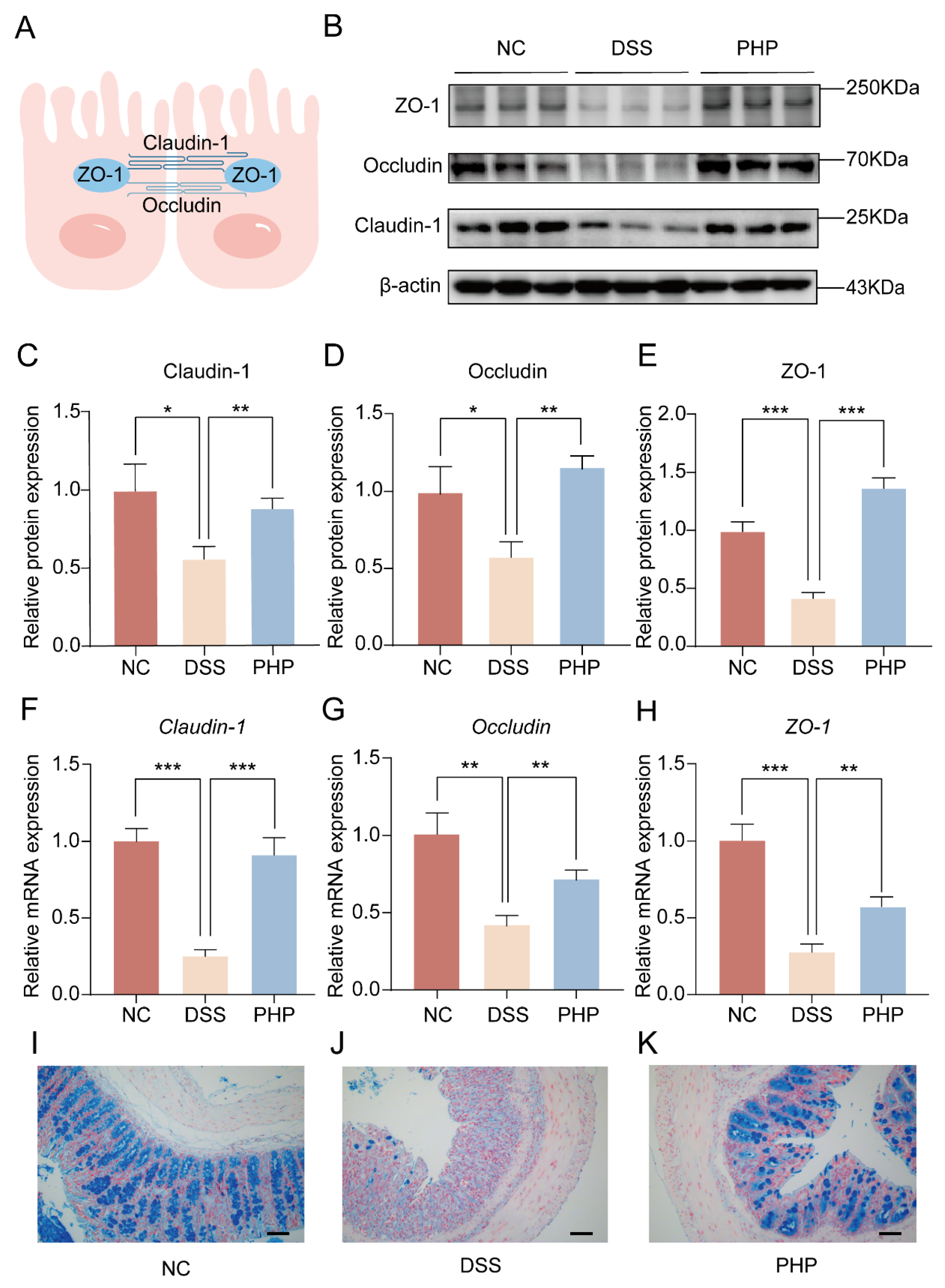 Molecules 28 04984 g003