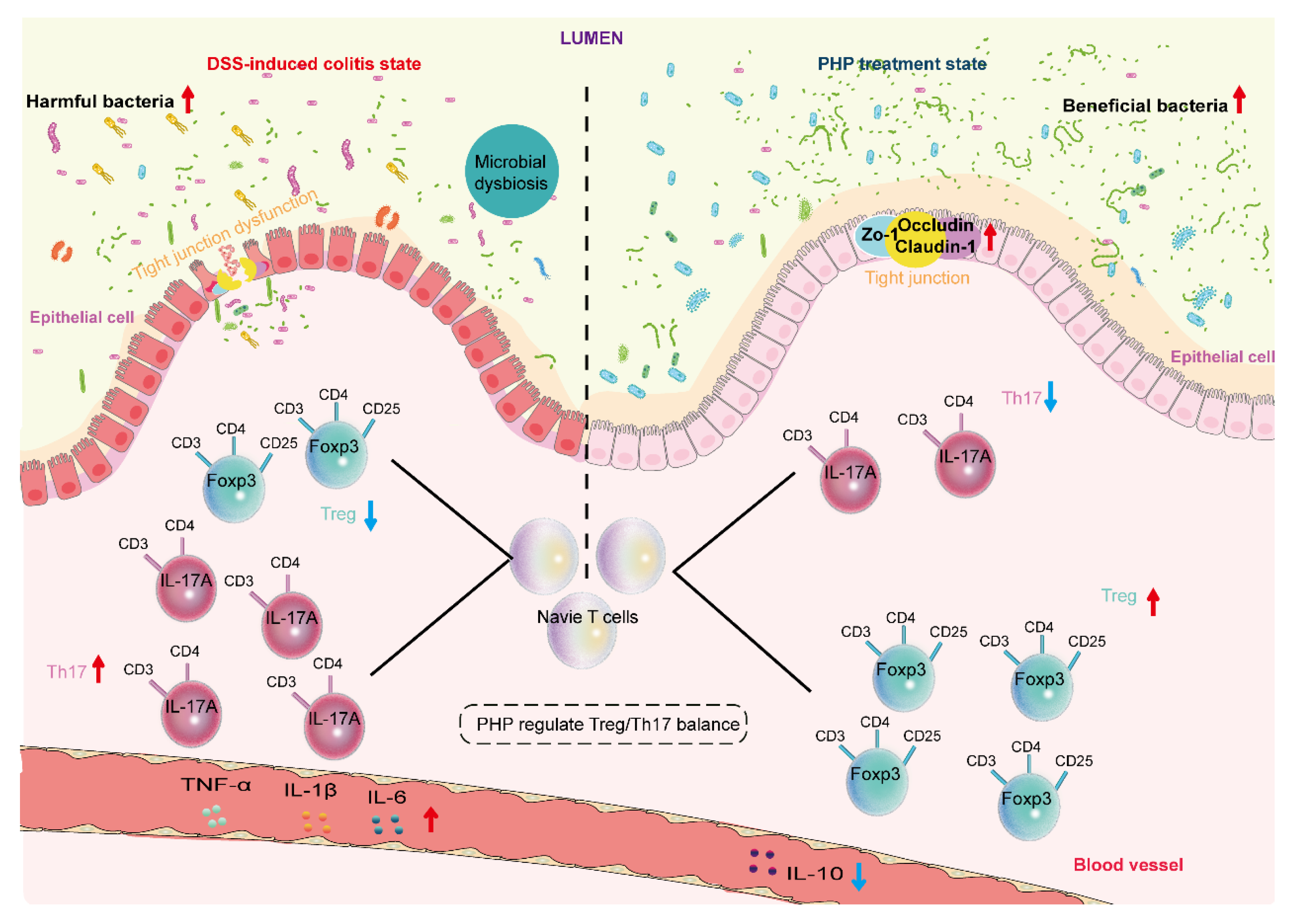 Molecules 28 04984 g008