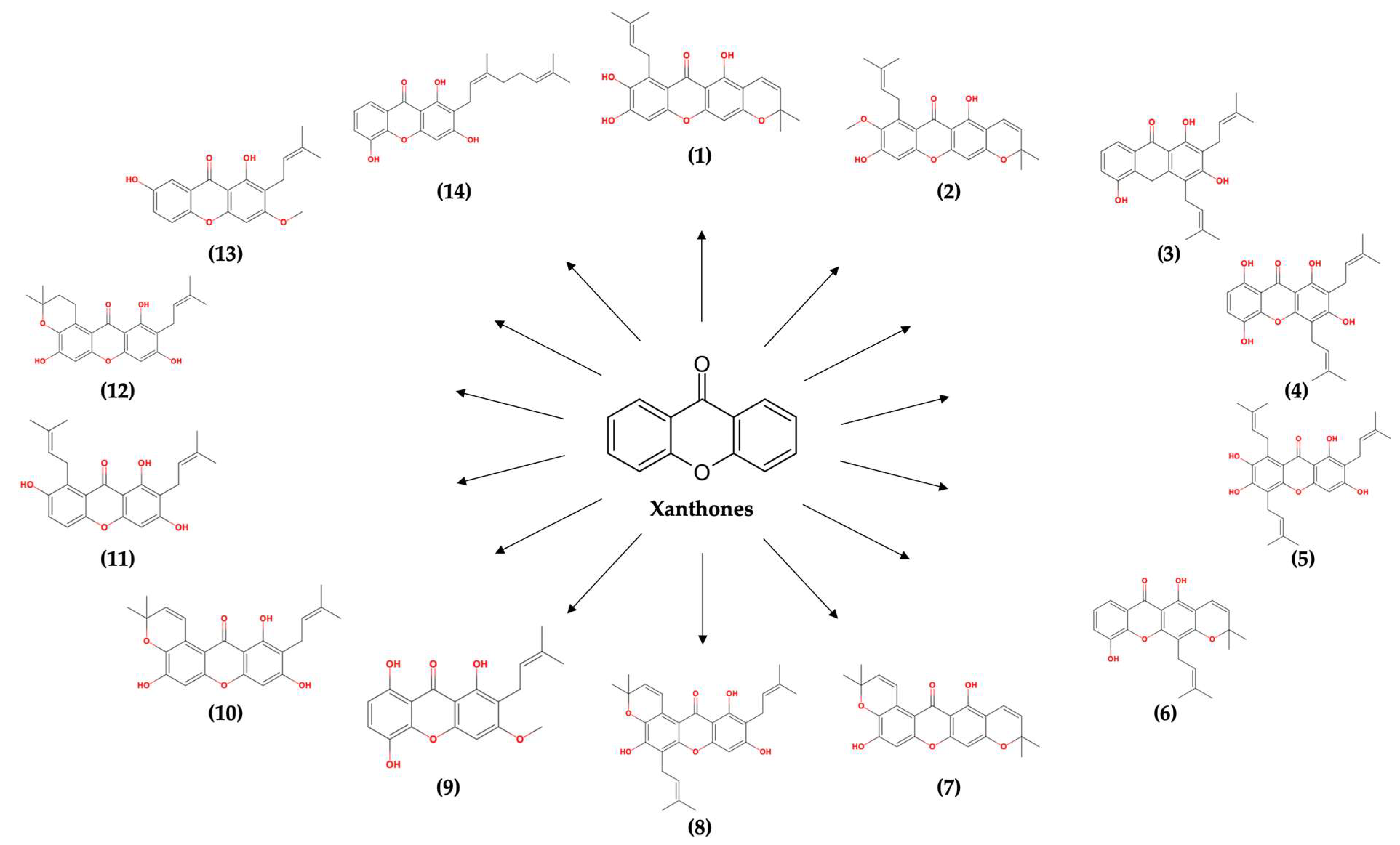 Molecules 28 05187 g001