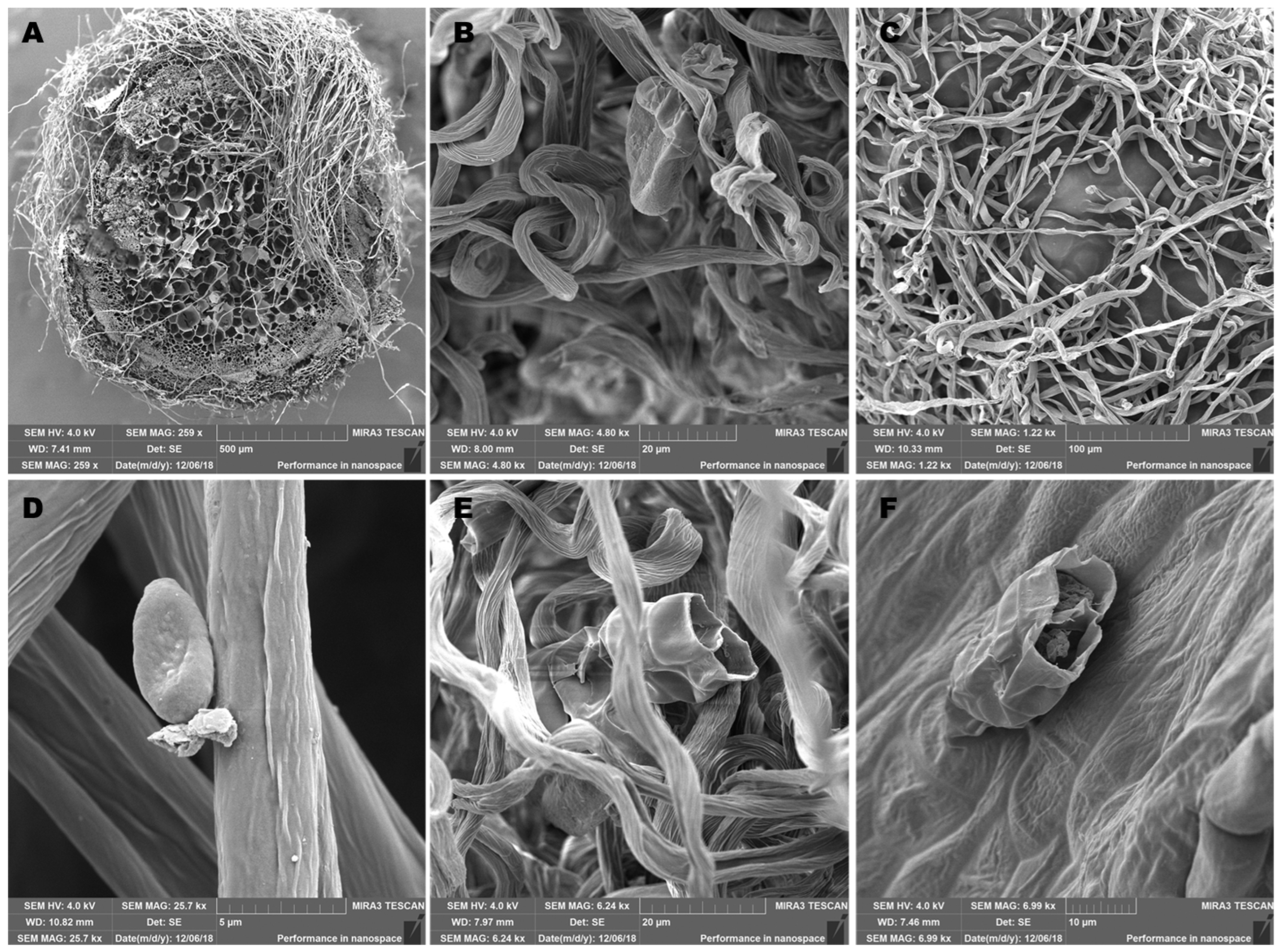 Molecules 28 05299 g001