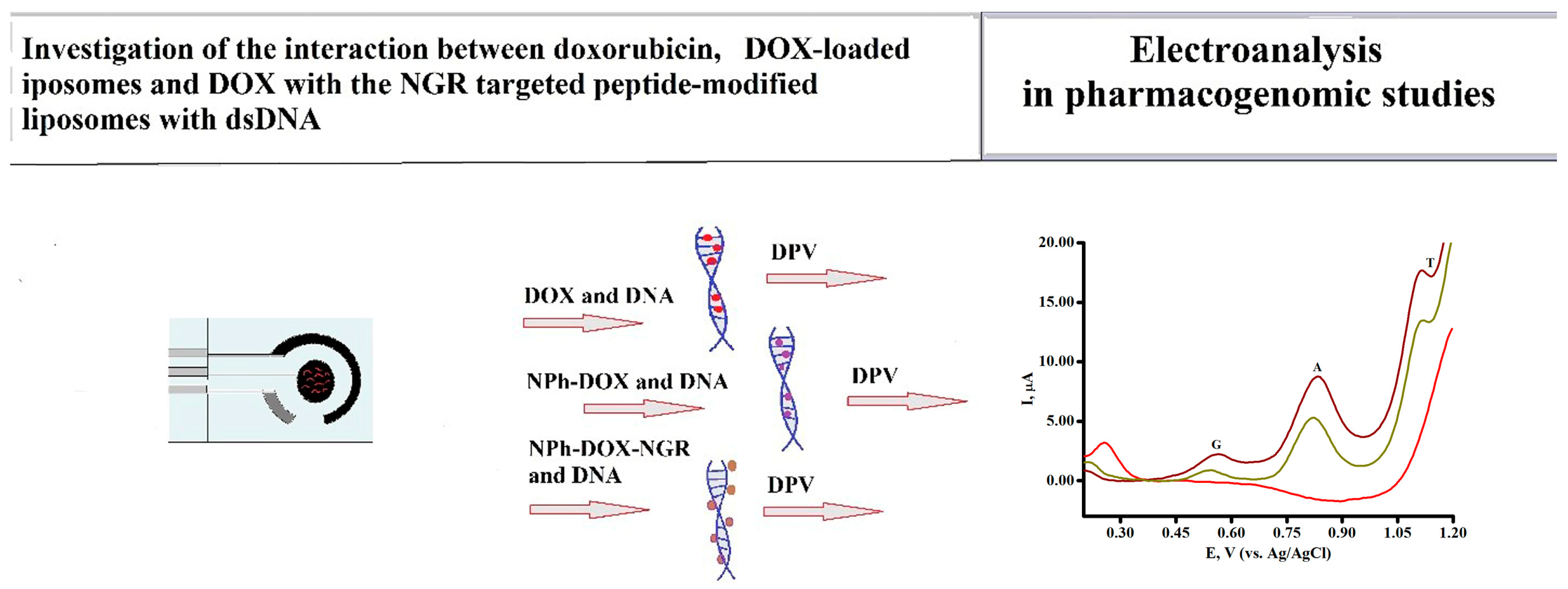 Molecules 28 05317 sch003