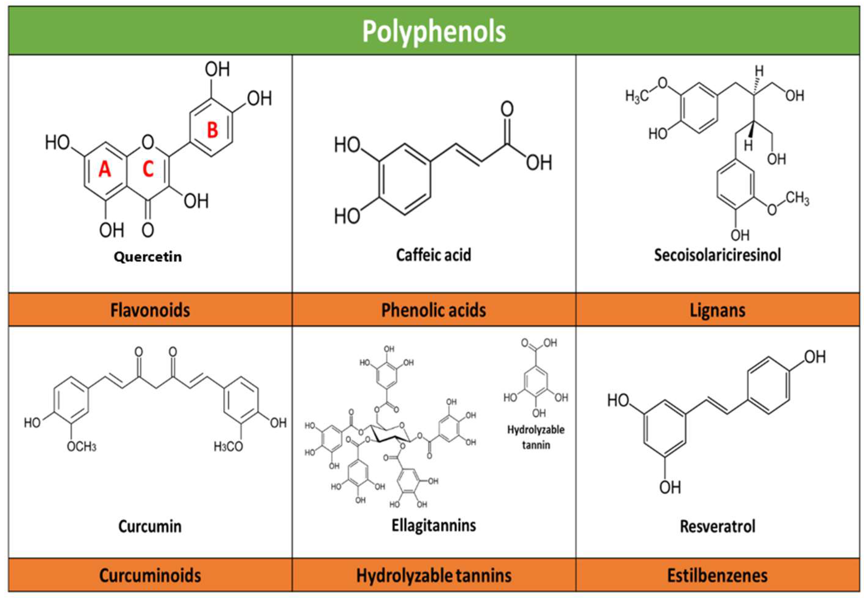 Molecules 28 05415 g001