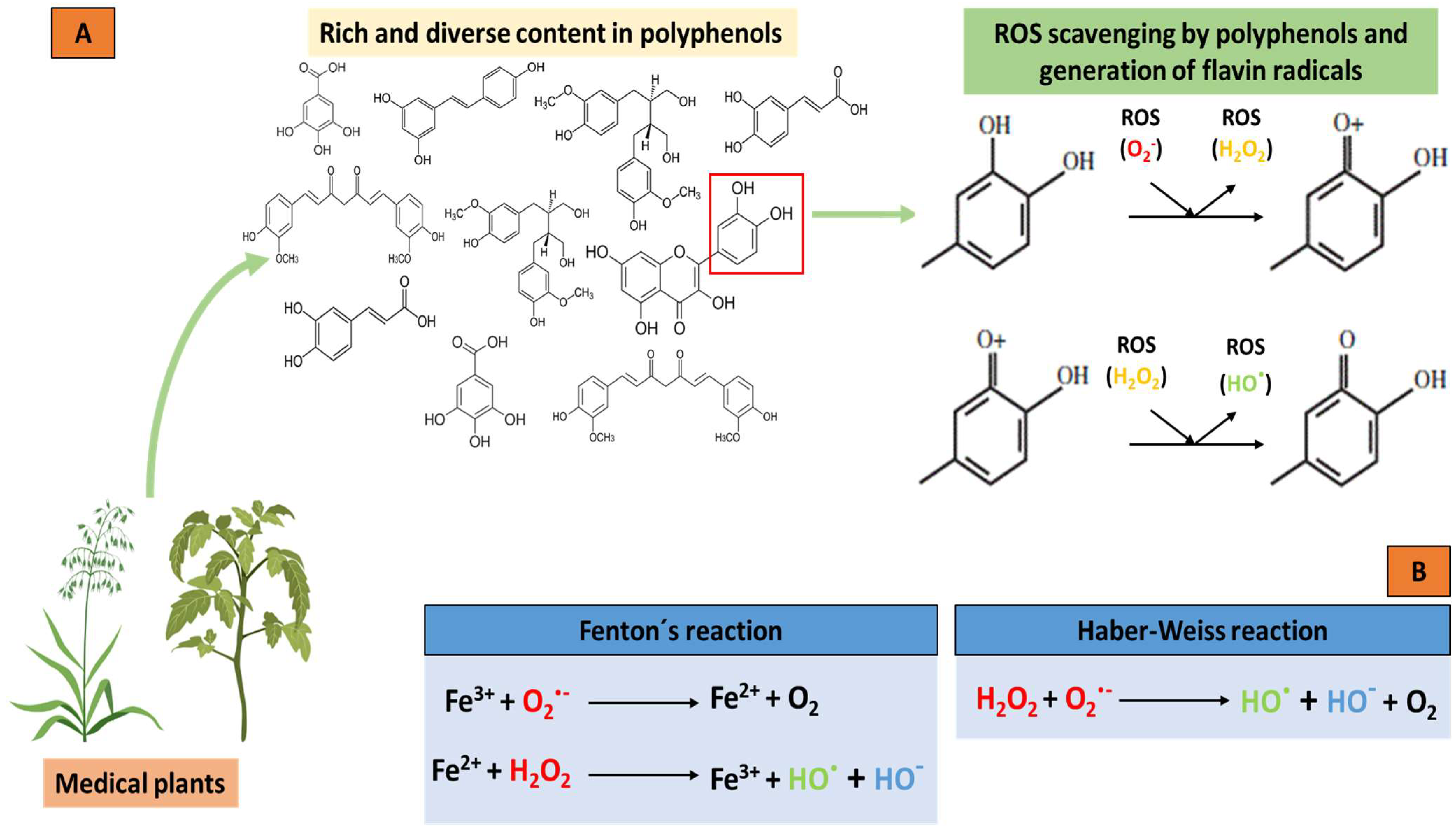 Molecules 28 05415 g002
