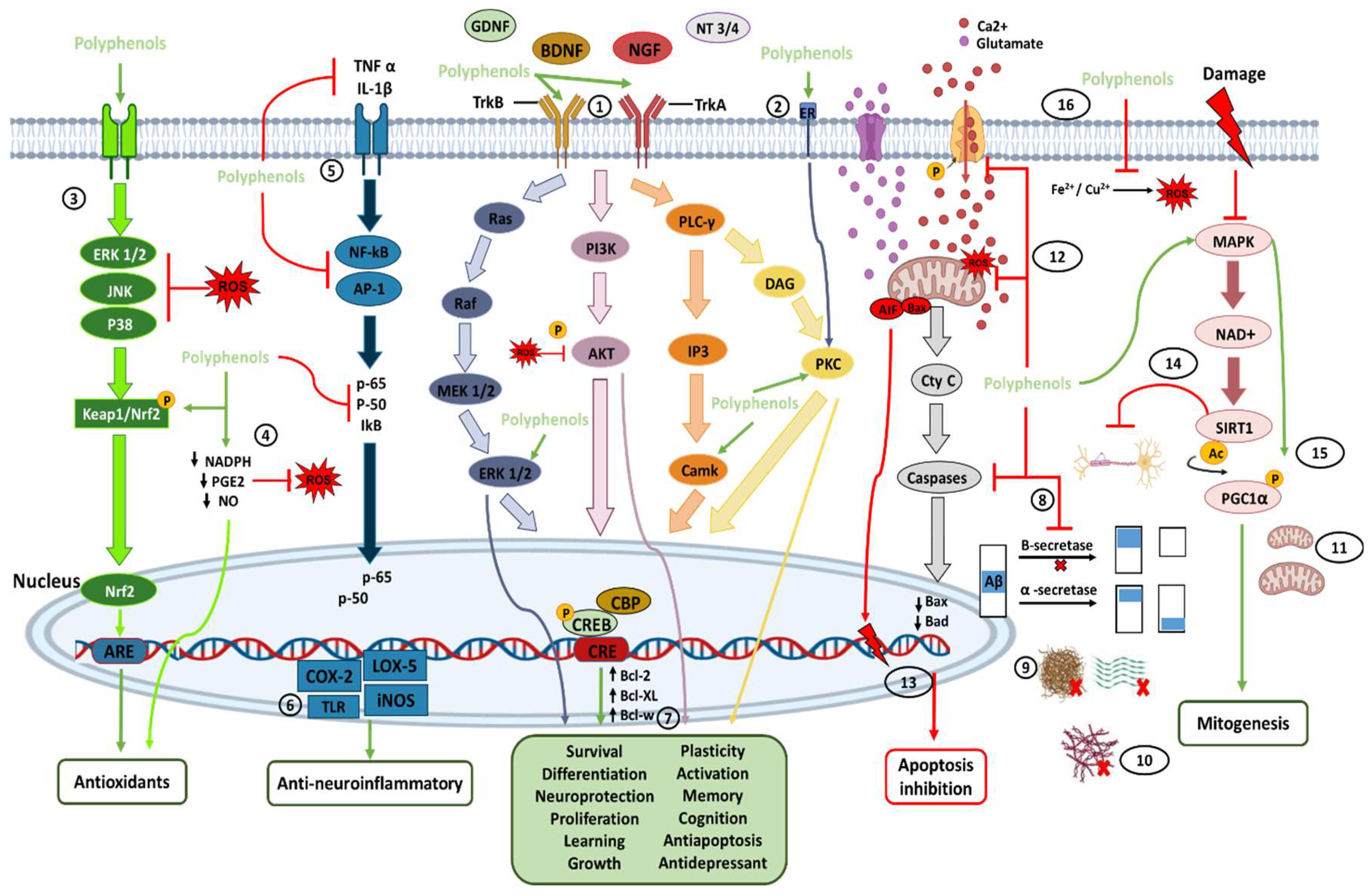 Molecules 28 05415 g003