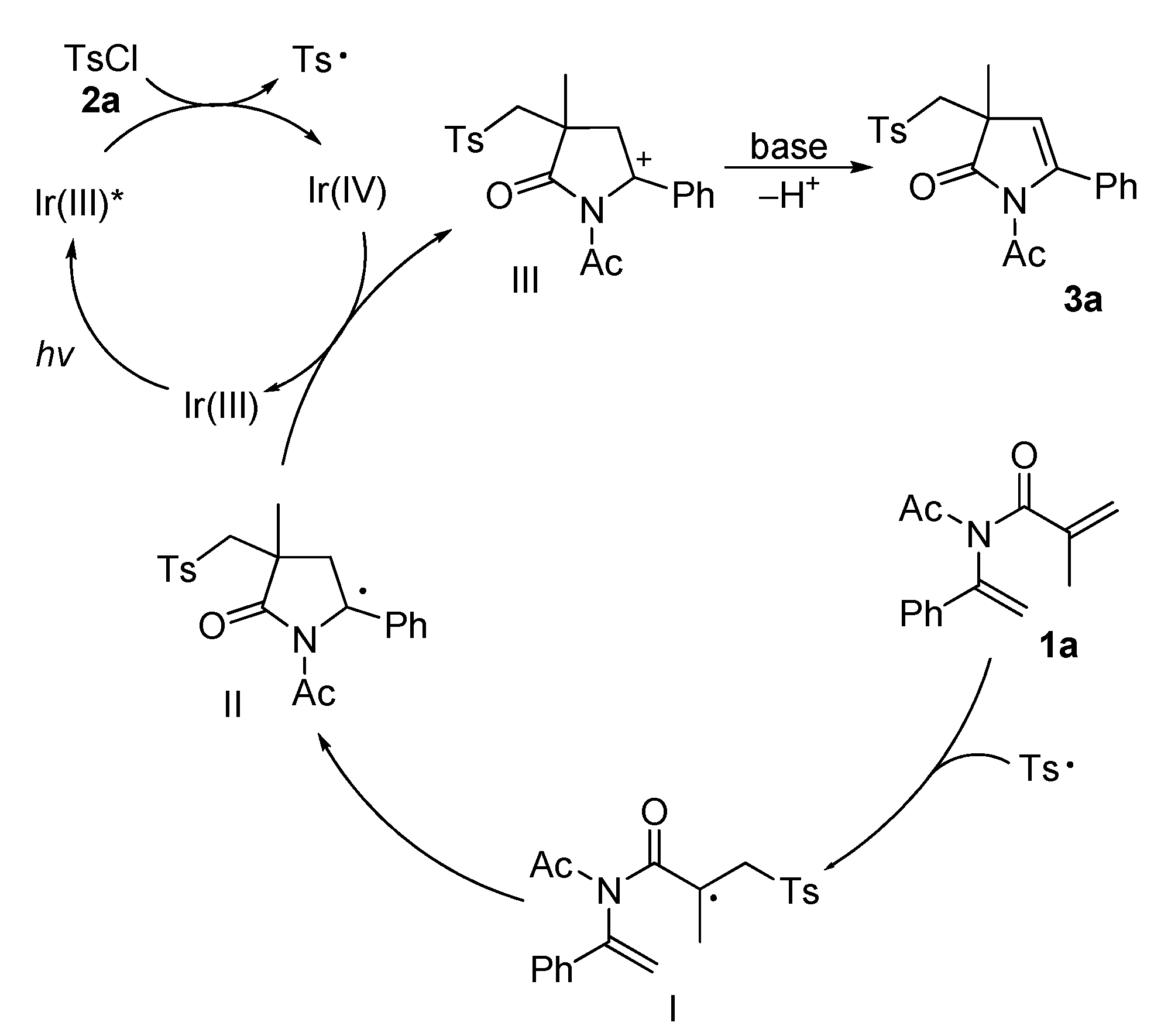 Molecules 28 05473 sch004