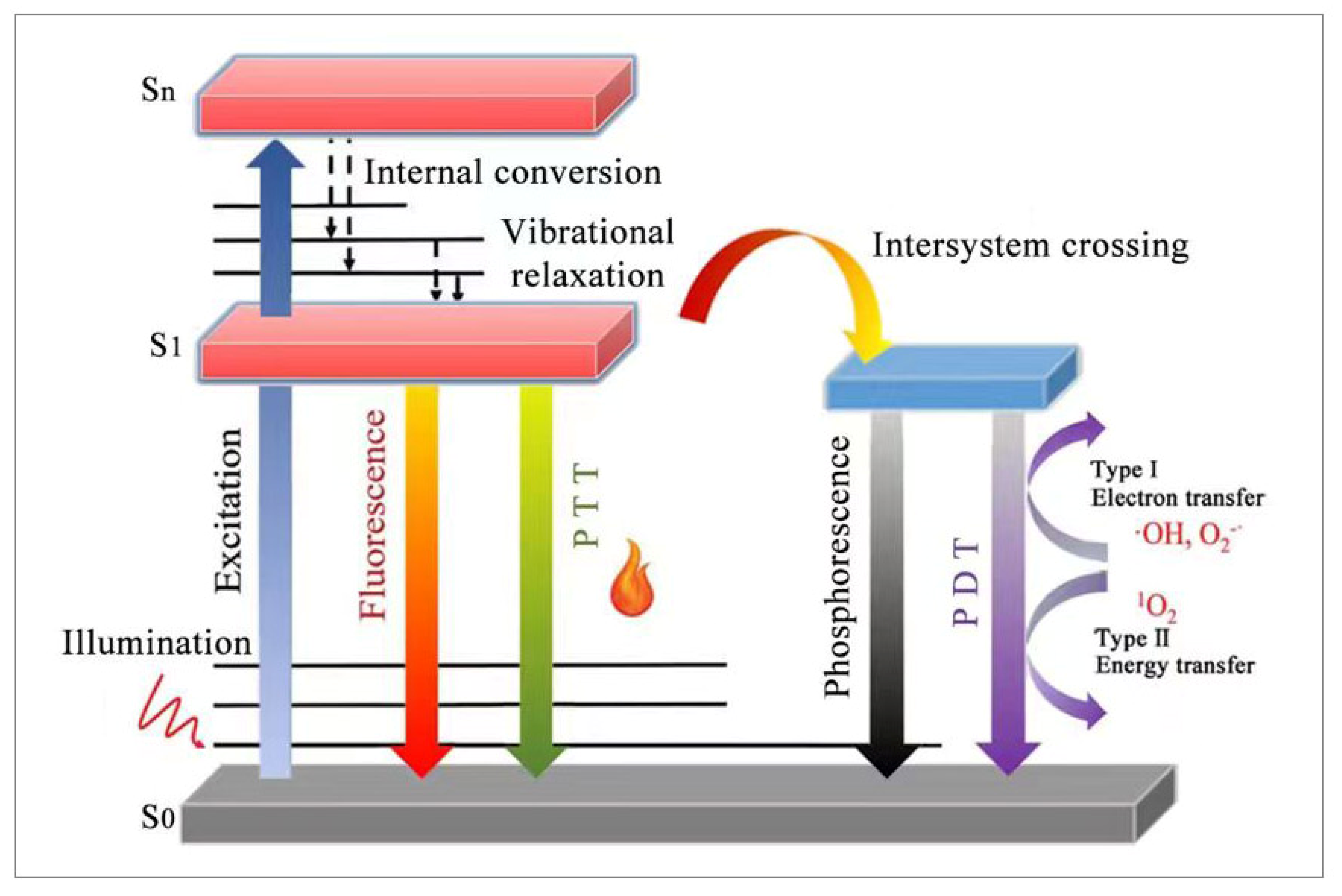 Molecules 28 06038 g002
