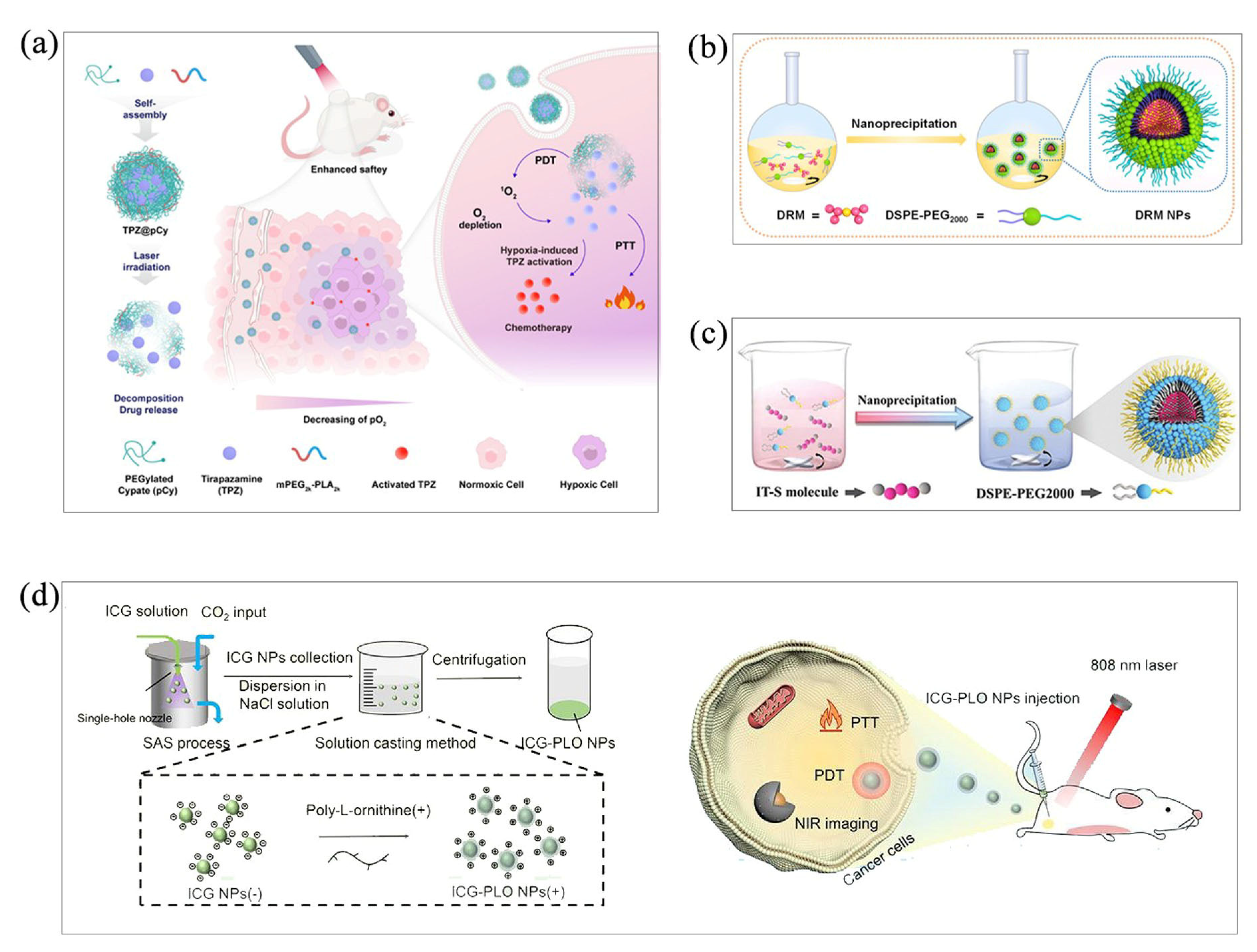 Molecules 28 06038 g003
