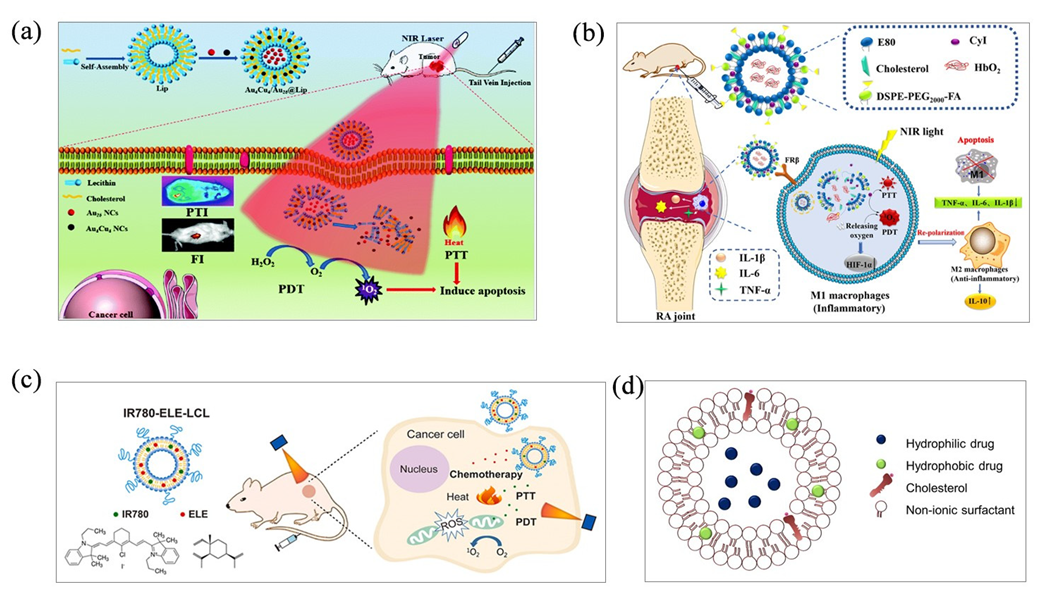 Molecules 28 06038 g004