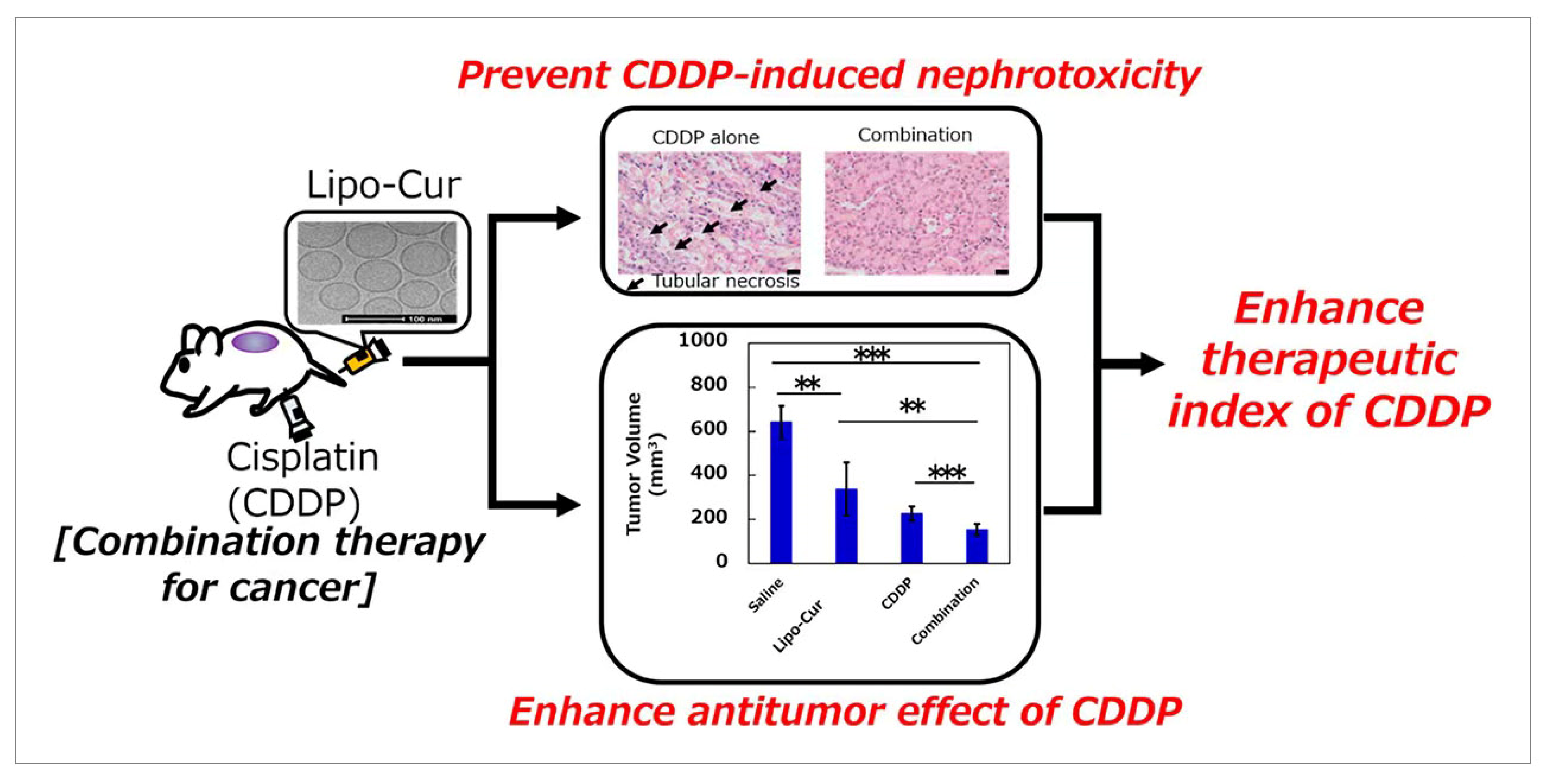 Molecules 28 06038 g006
