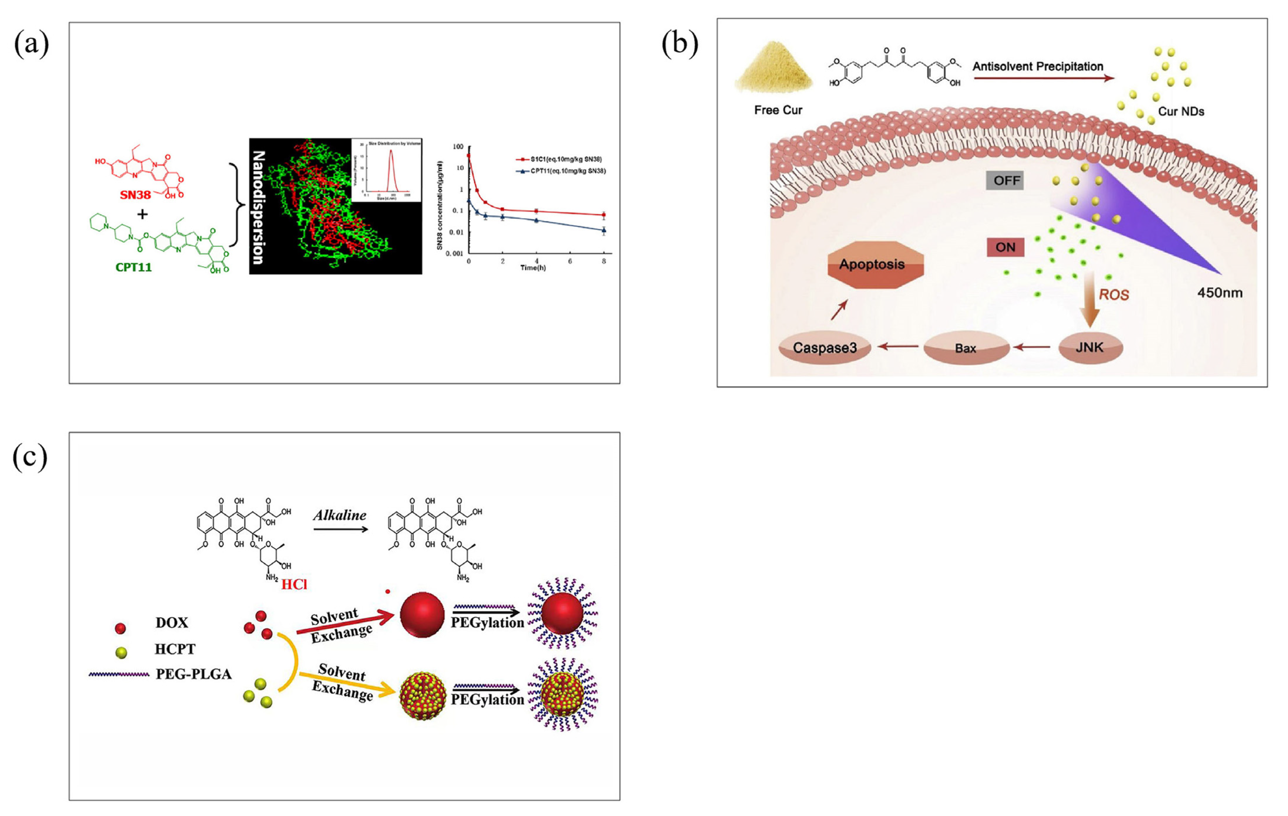 Molecules 28 06038 g008