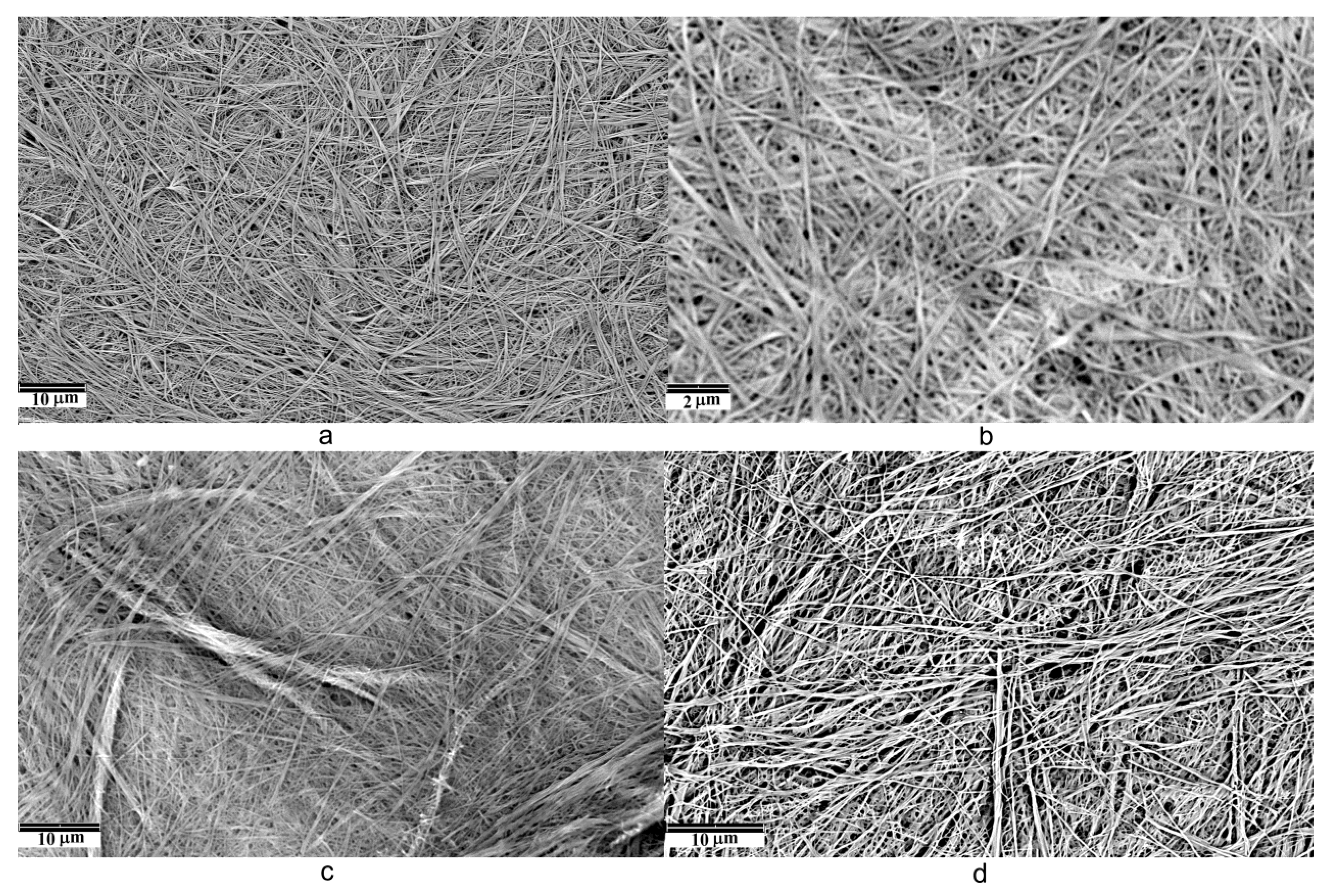 Molecules 28 06056 g006