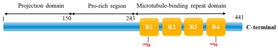 Molecules Free Full Text Unveiling The Effects Of Copper Ions In