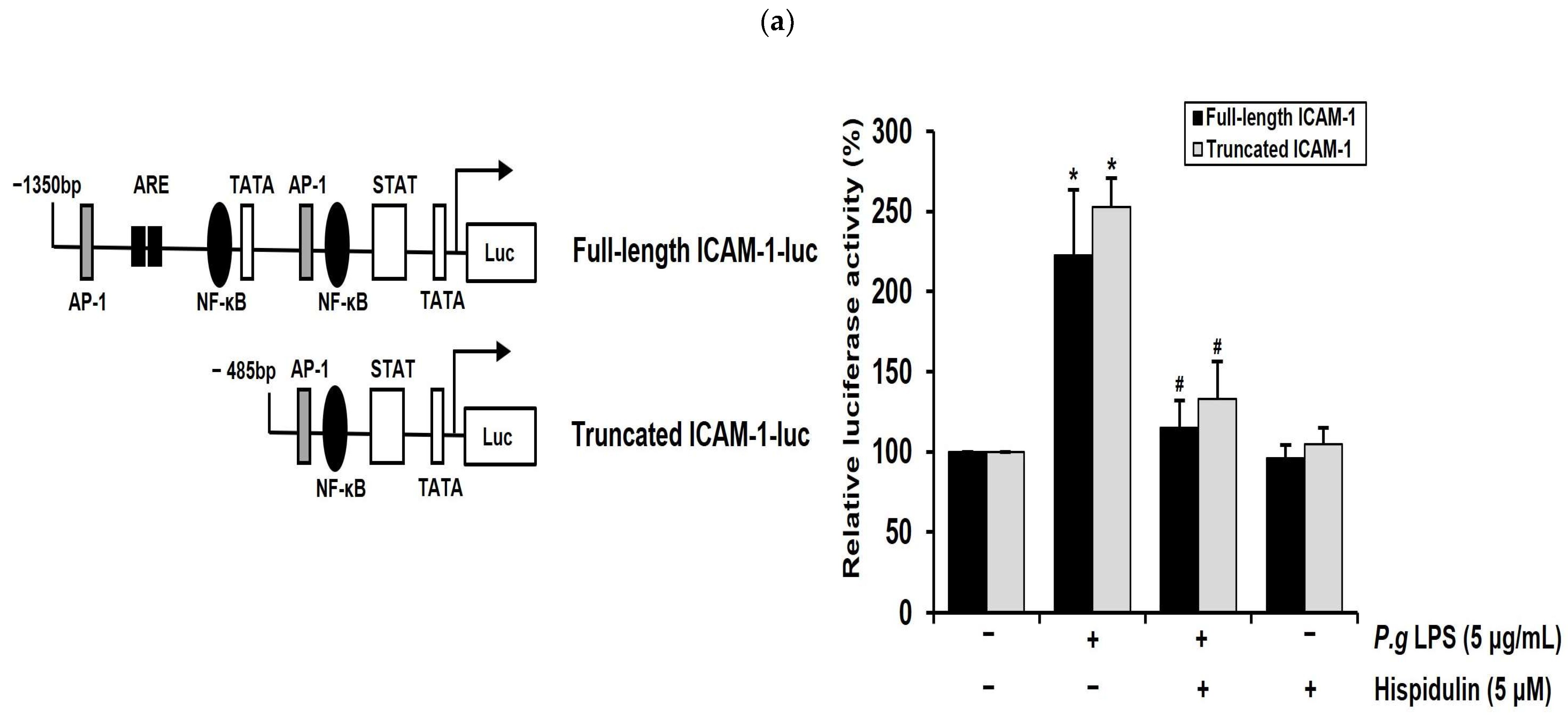 Molecules 28 06717 g004a