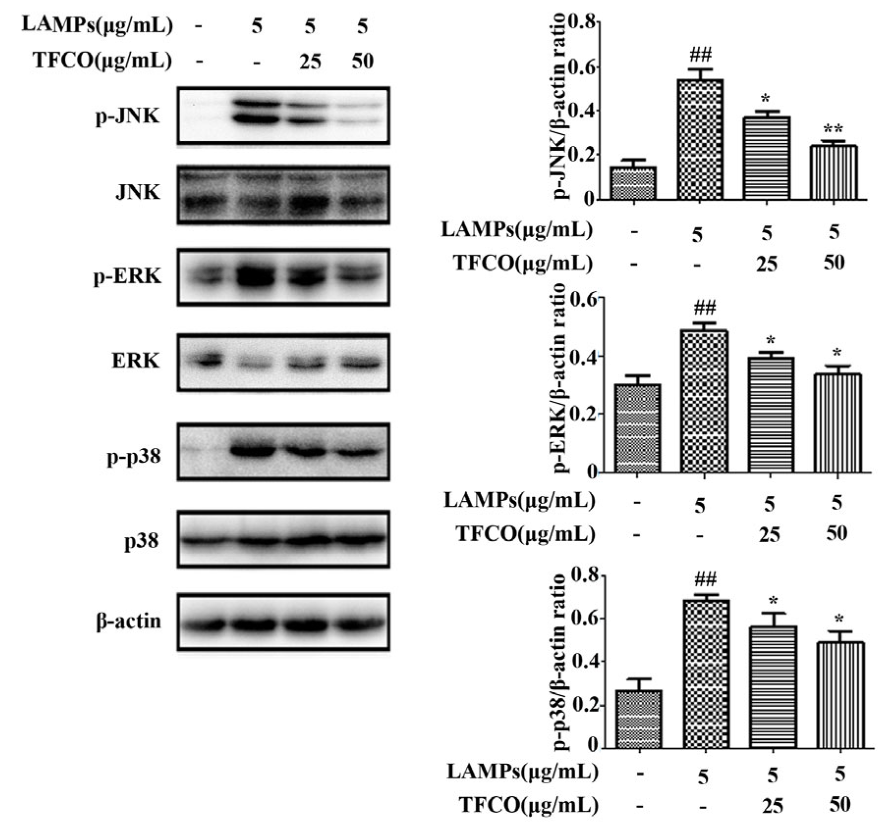 Molecules 28 07077 g007