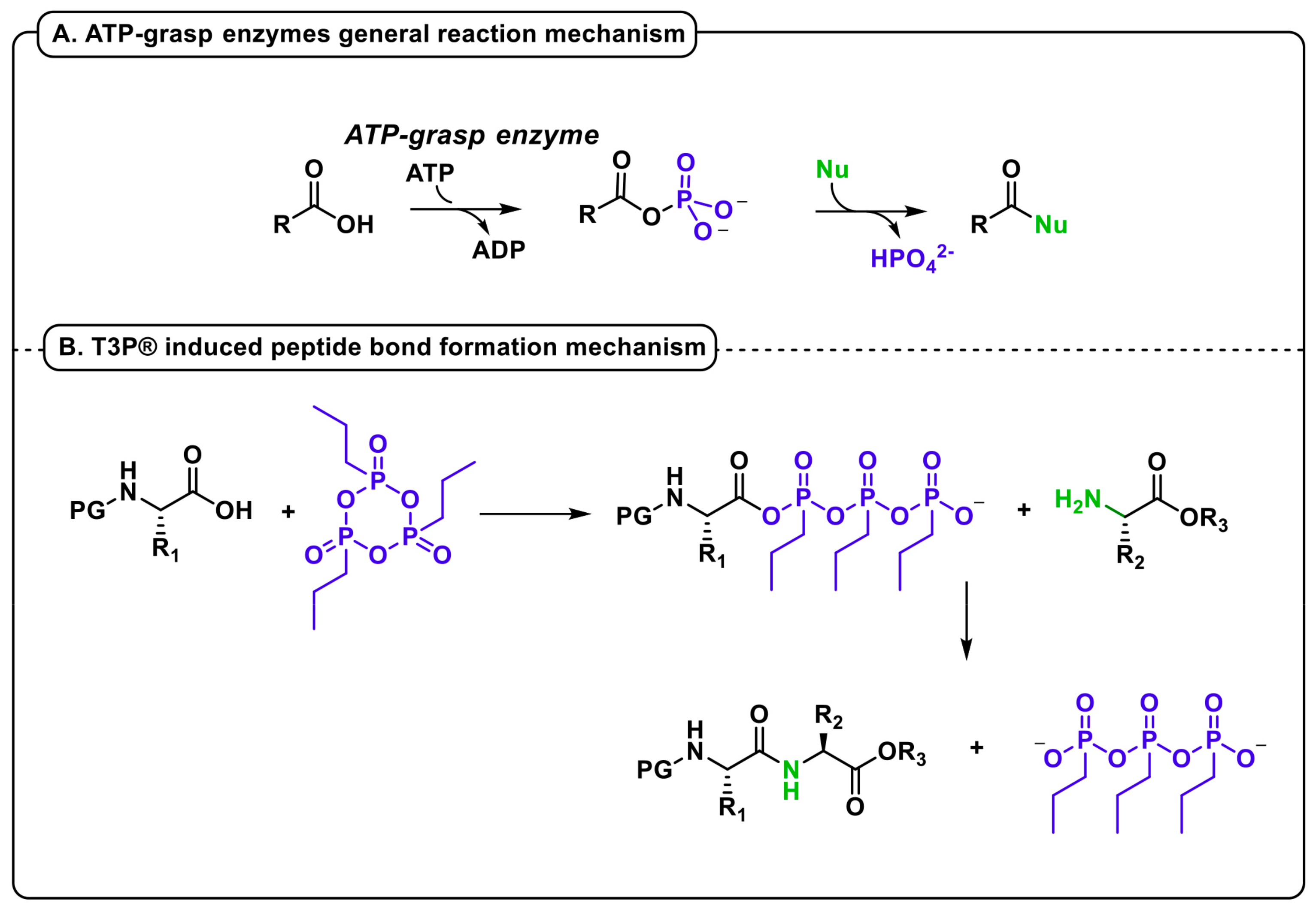 Molecules 28 07183 g001 Molecules 28 07183 g001
