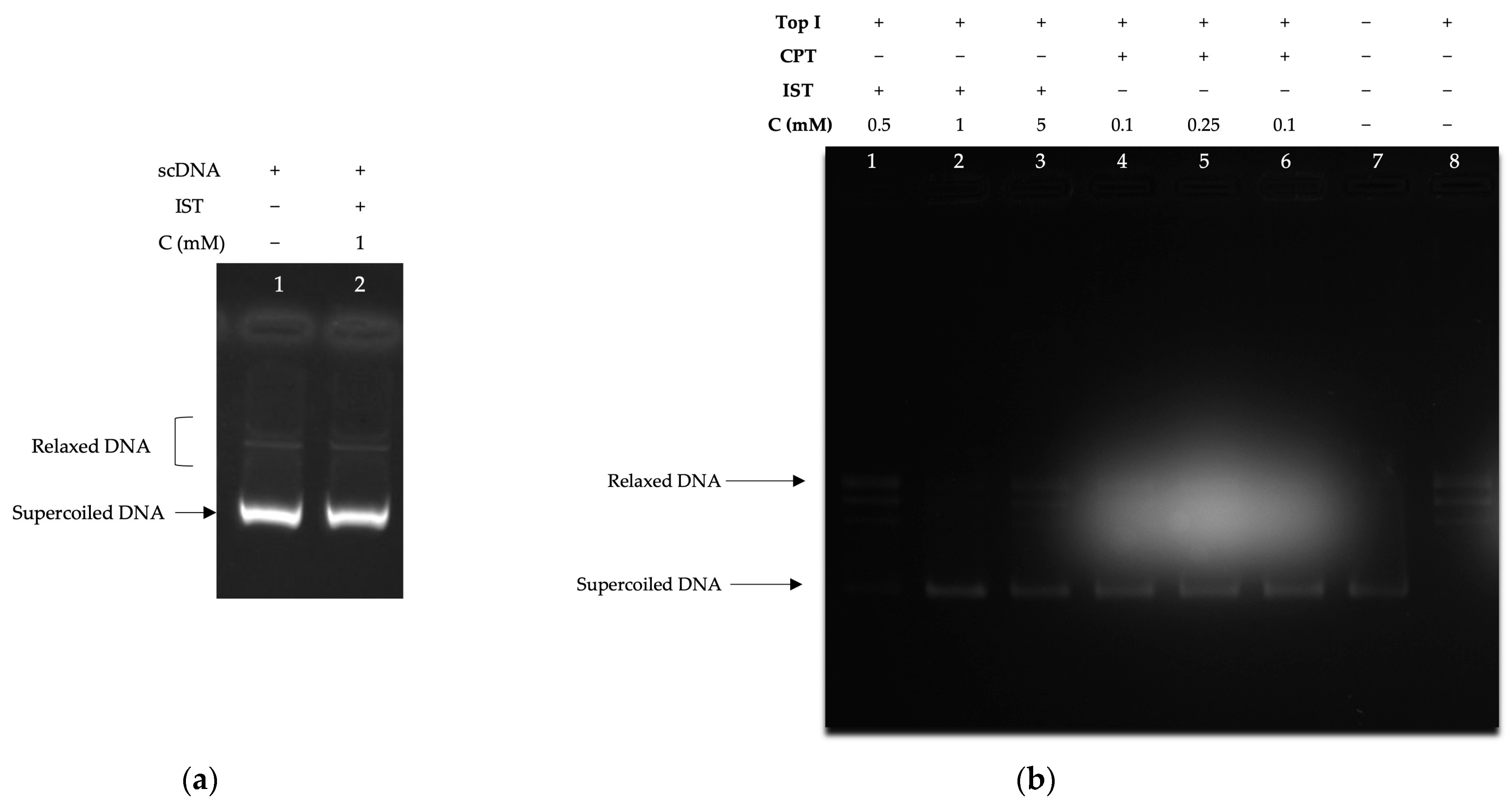 Molecules 28 07458 g004