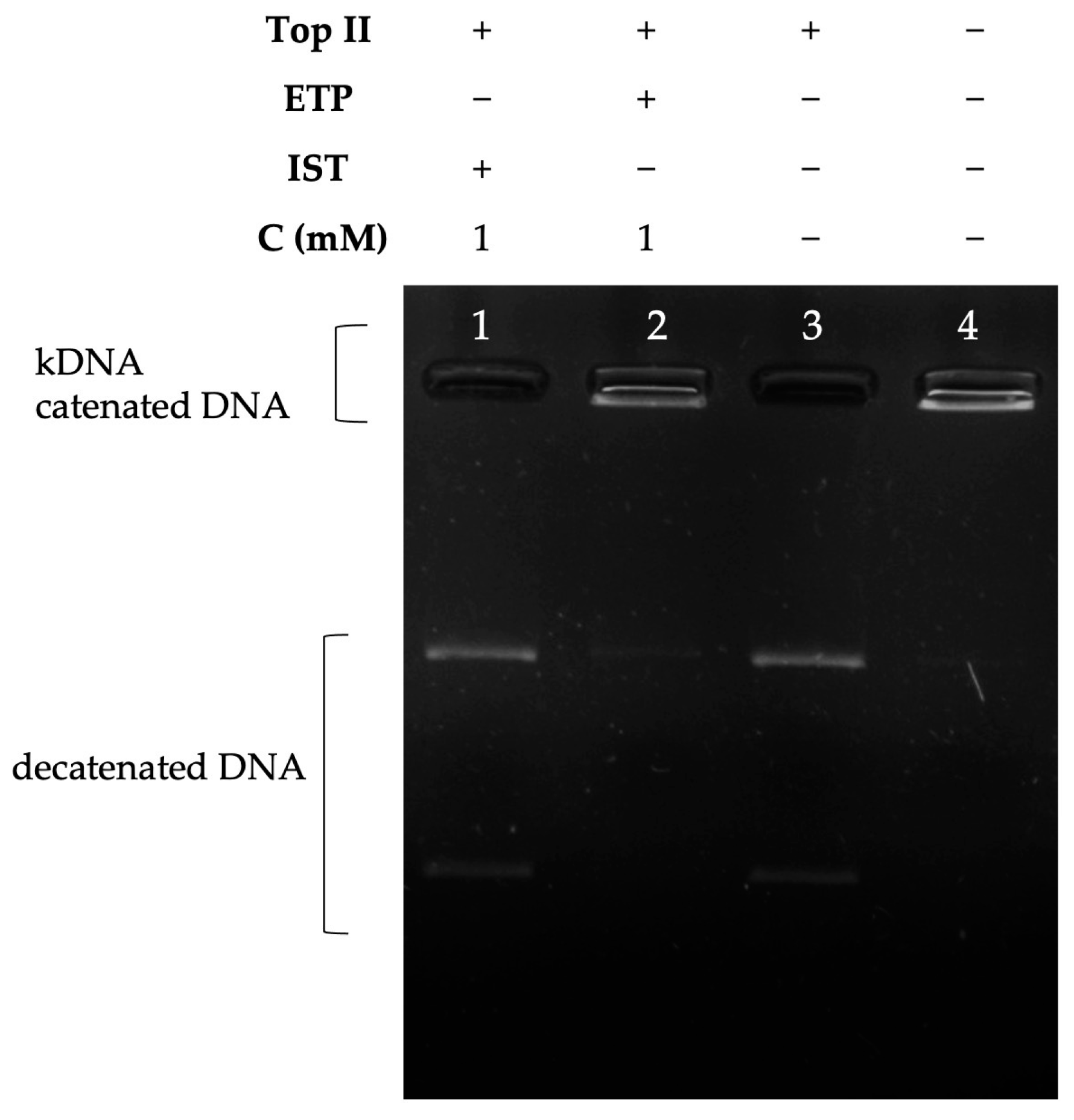 Molecules 28 07458 g005
