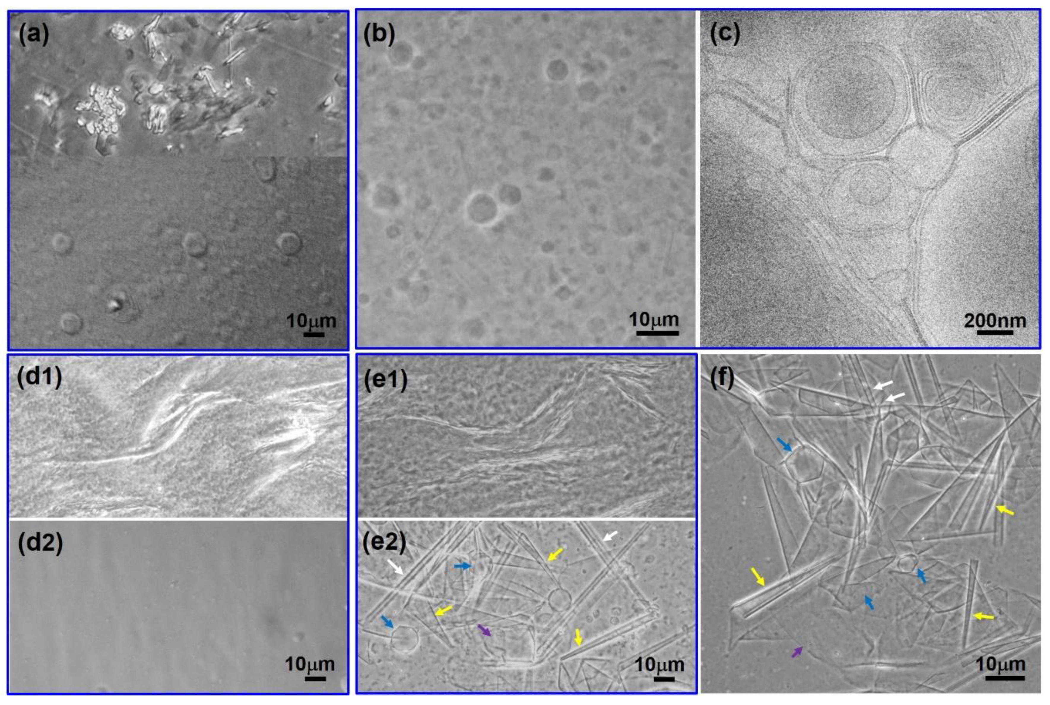 Molecules 28 07463 g003 Molecules 28 07463 g003