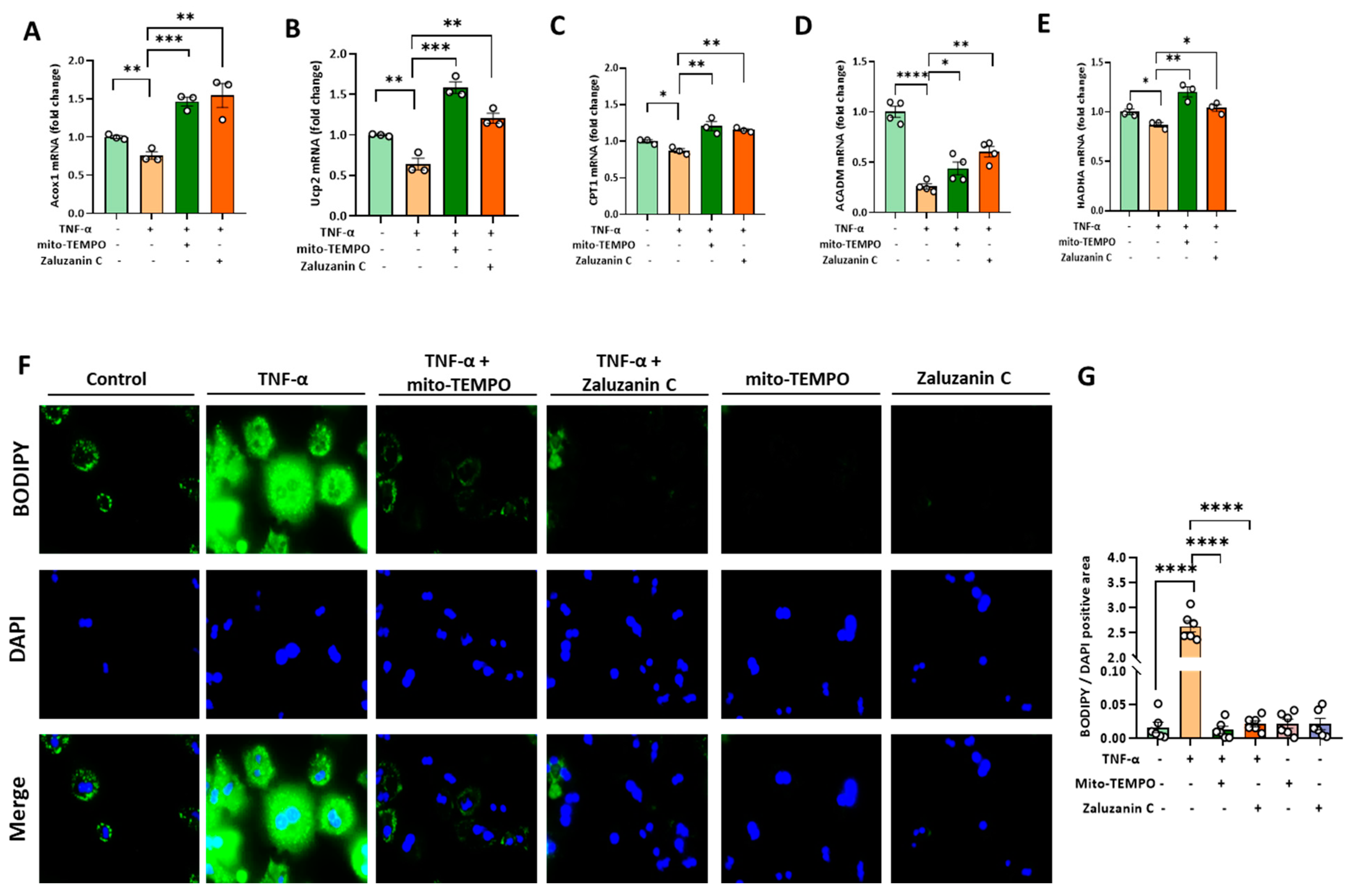 Molecules 28 07484 g005