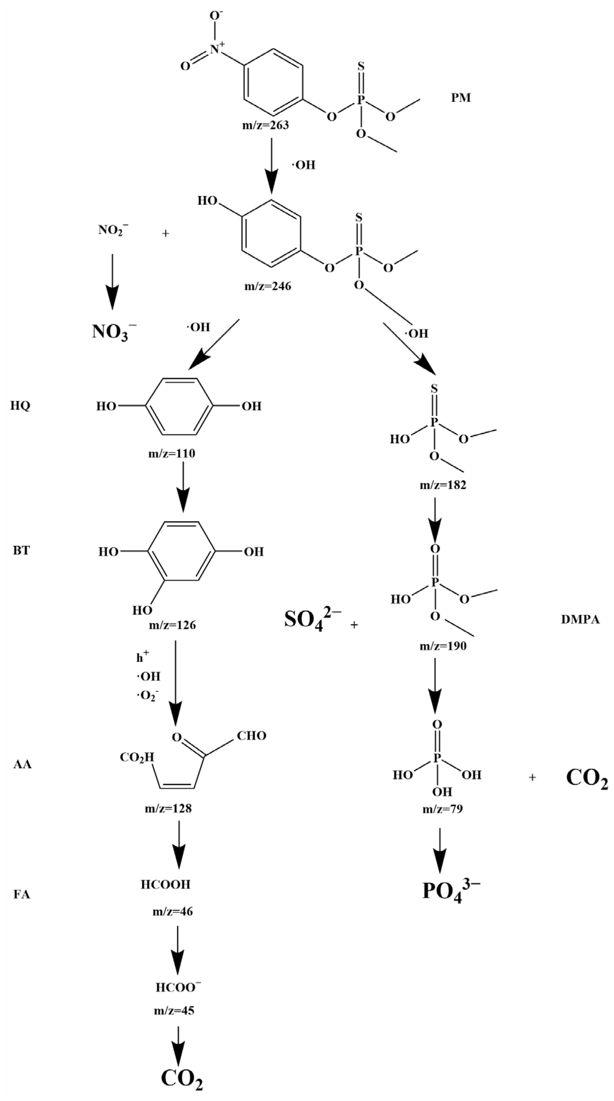 Molecules 28 07722 g025 Molecules 28 07722 g025