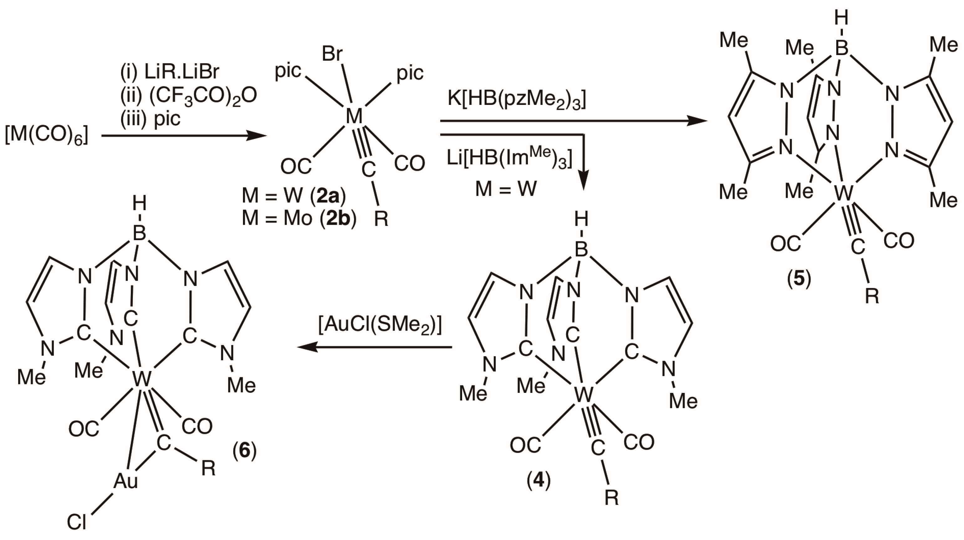 Molecules 28 07761 sch004