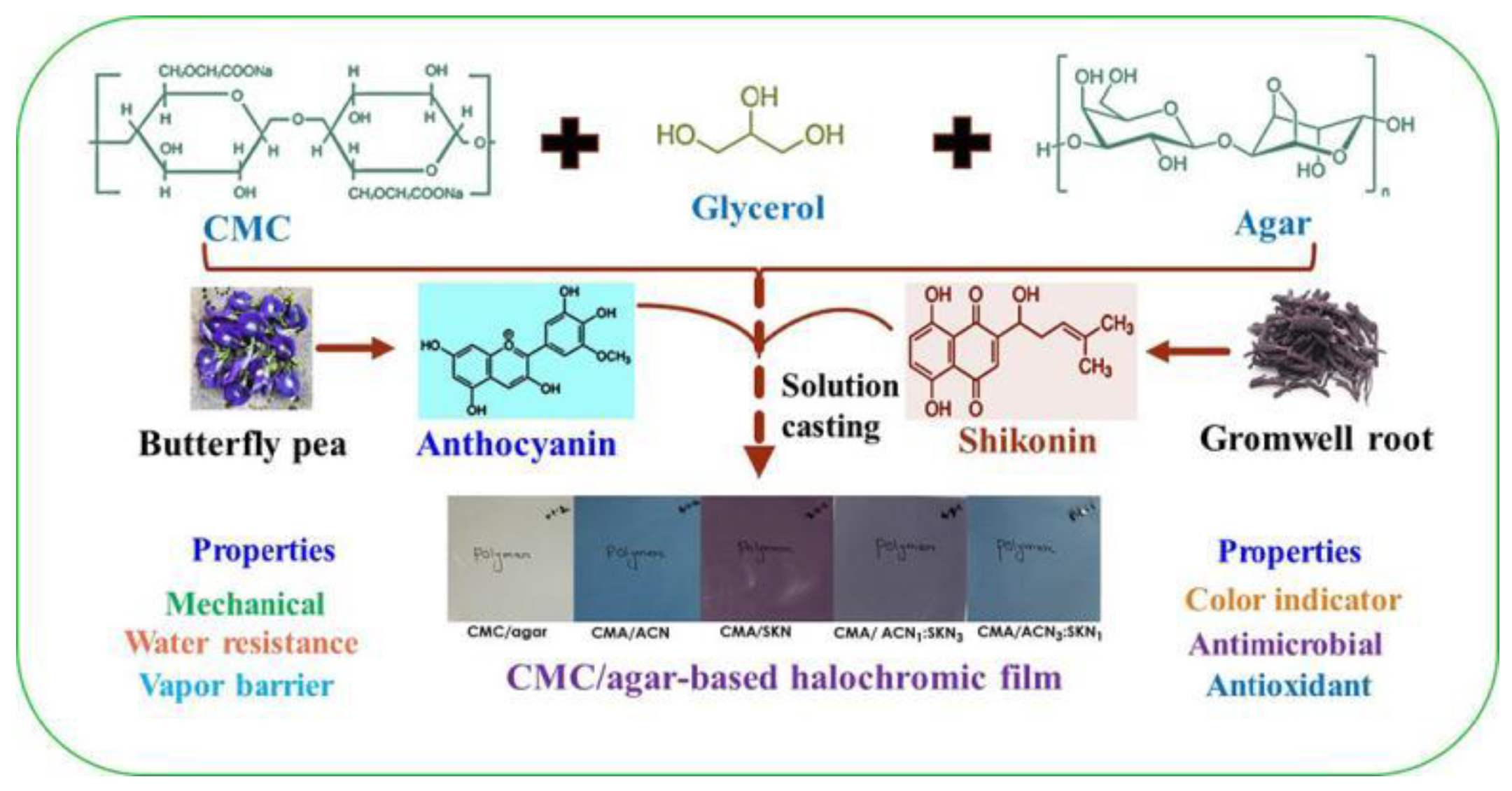 Molecules 28 07950 g002 Molecules 28 07950 g002