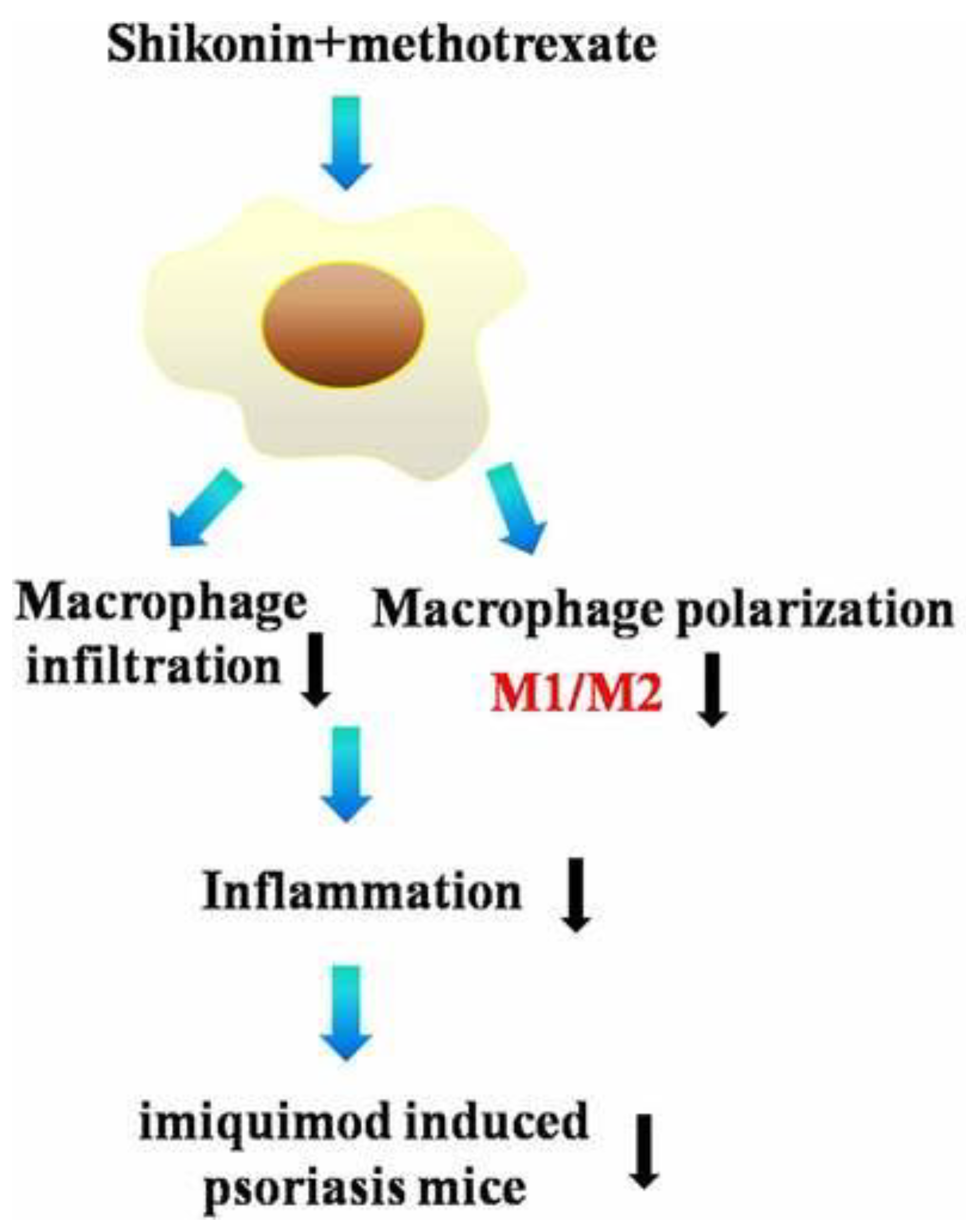 Molecules 28 07950 g004 Molecules 28 07950 g004