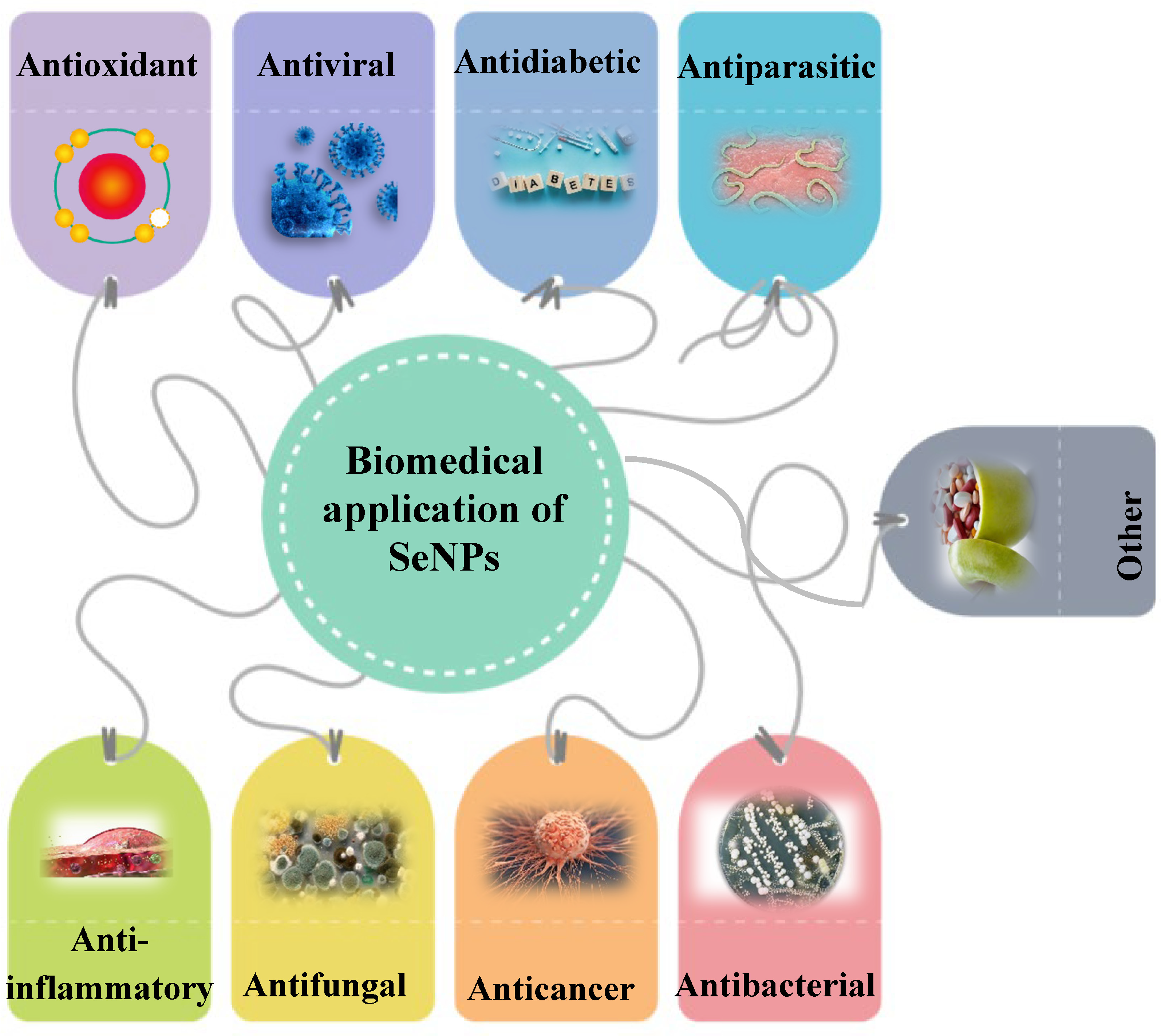 Molecules 28 08125 g002