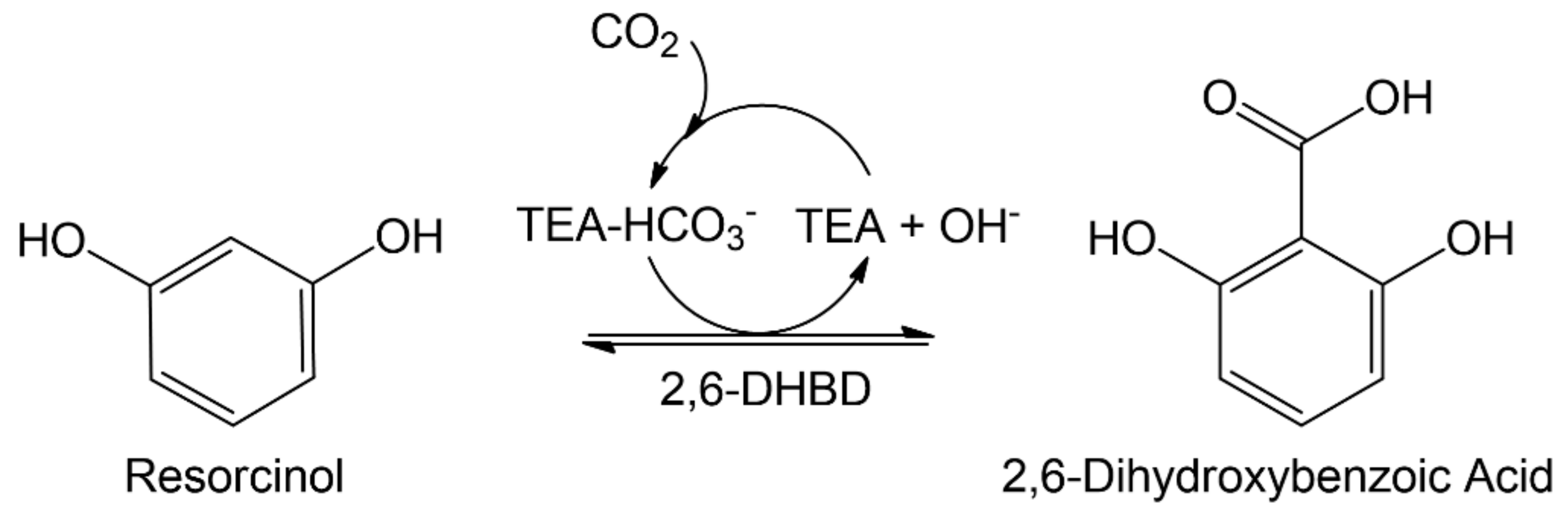 Molecules 29 00025 g001