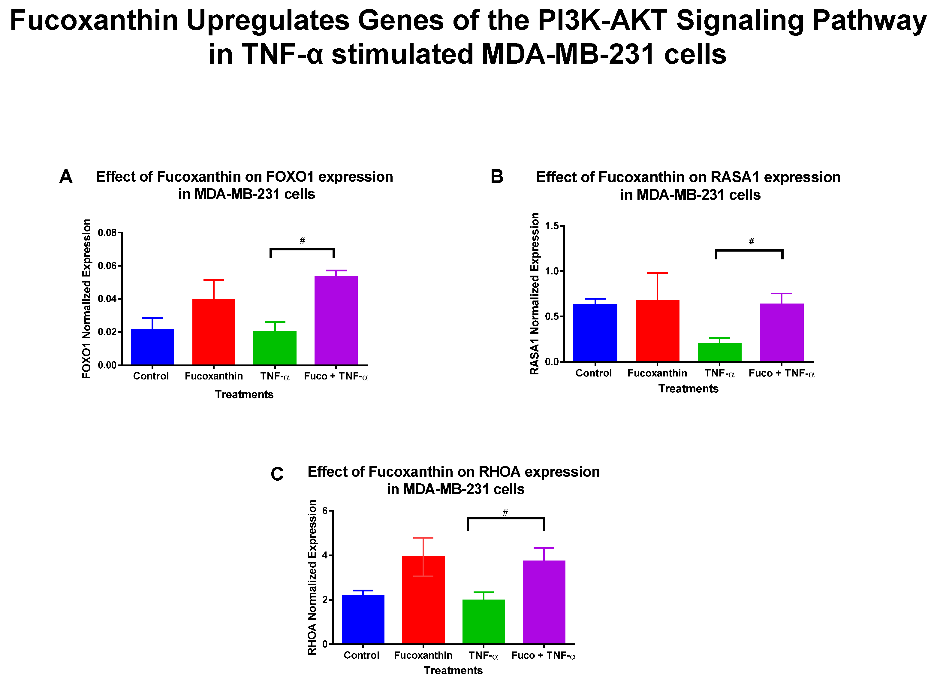 Molecules 29 00061 g003