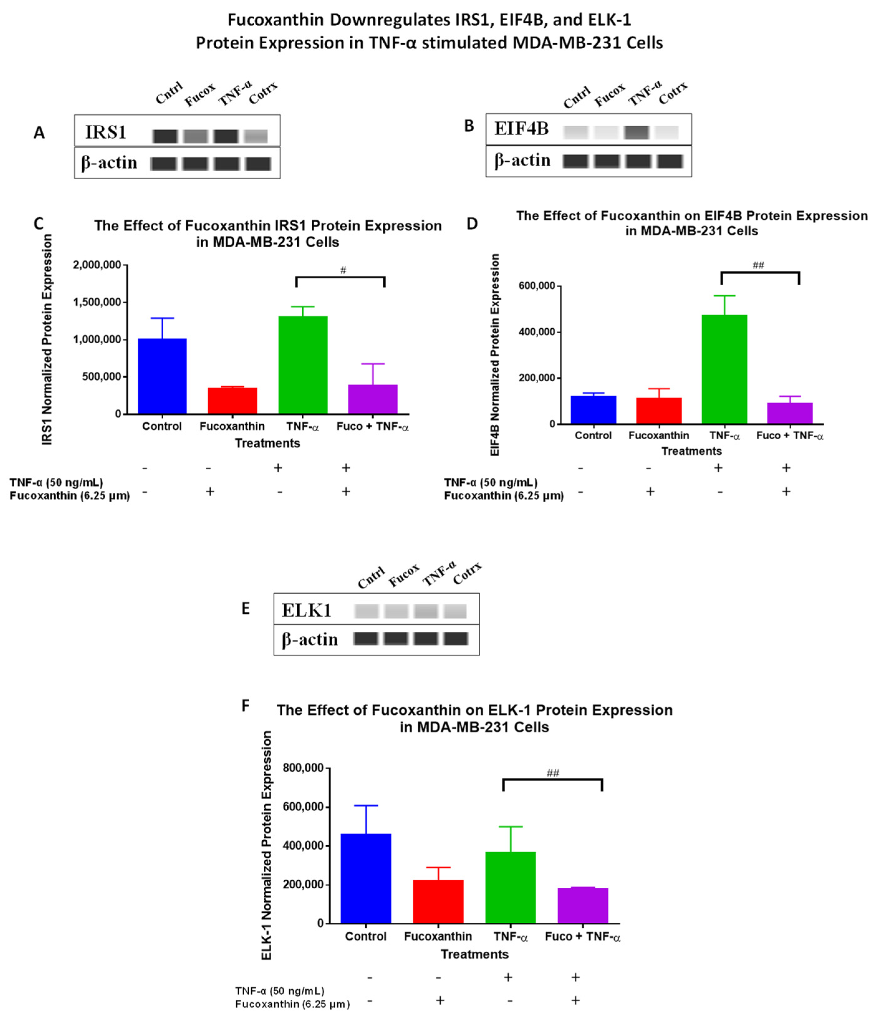Molecules 29 00061 g007