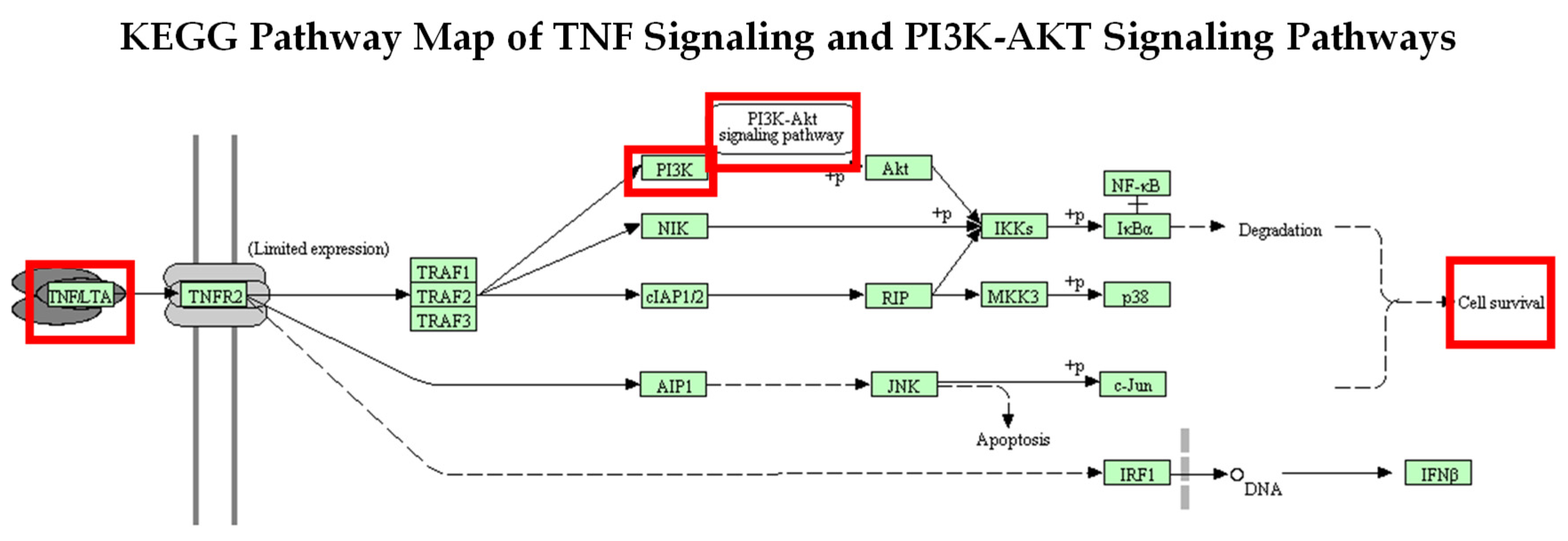 Molecules 29 00061 g011
