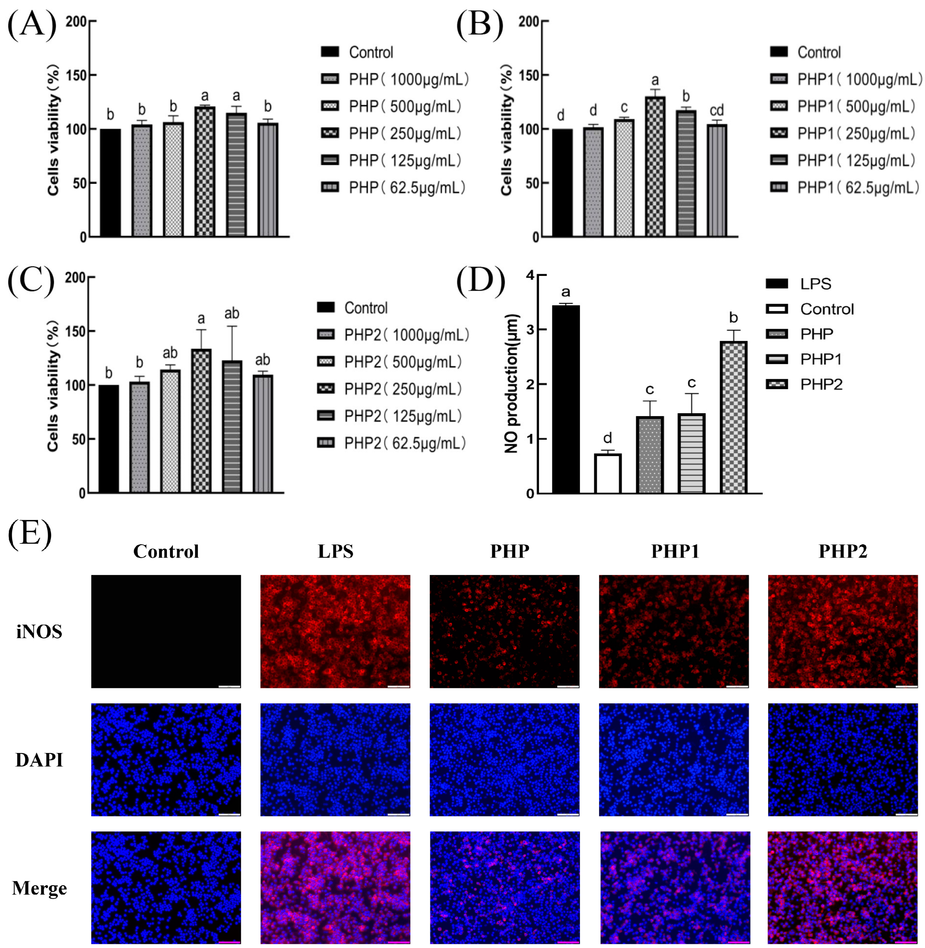 Molecules 29 00142 g004a